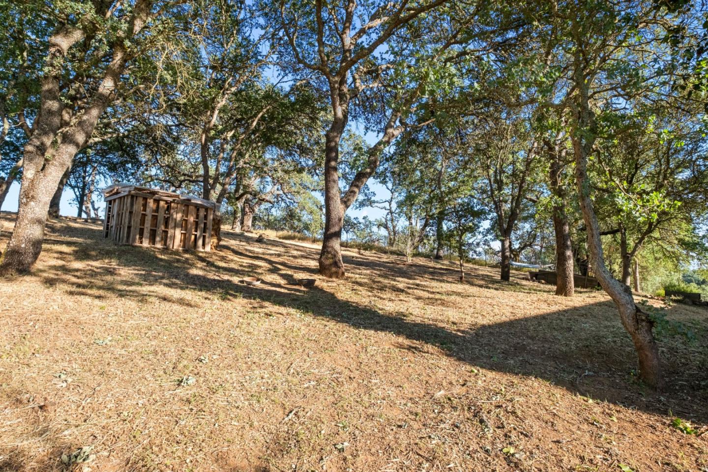 15208 Sycamore Drive