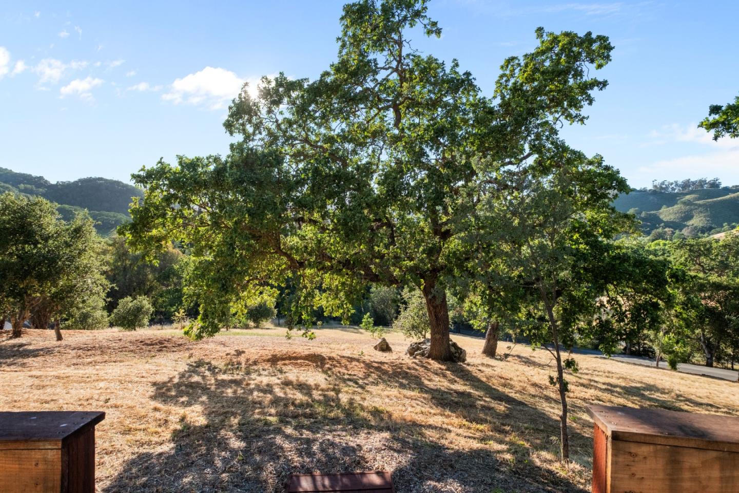 15208 Sycamore Drive