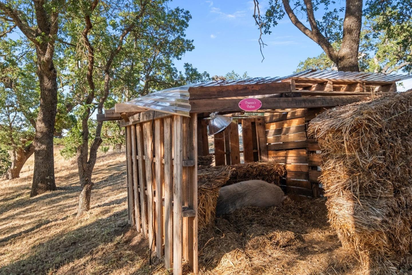 15208 Sycamore Drive