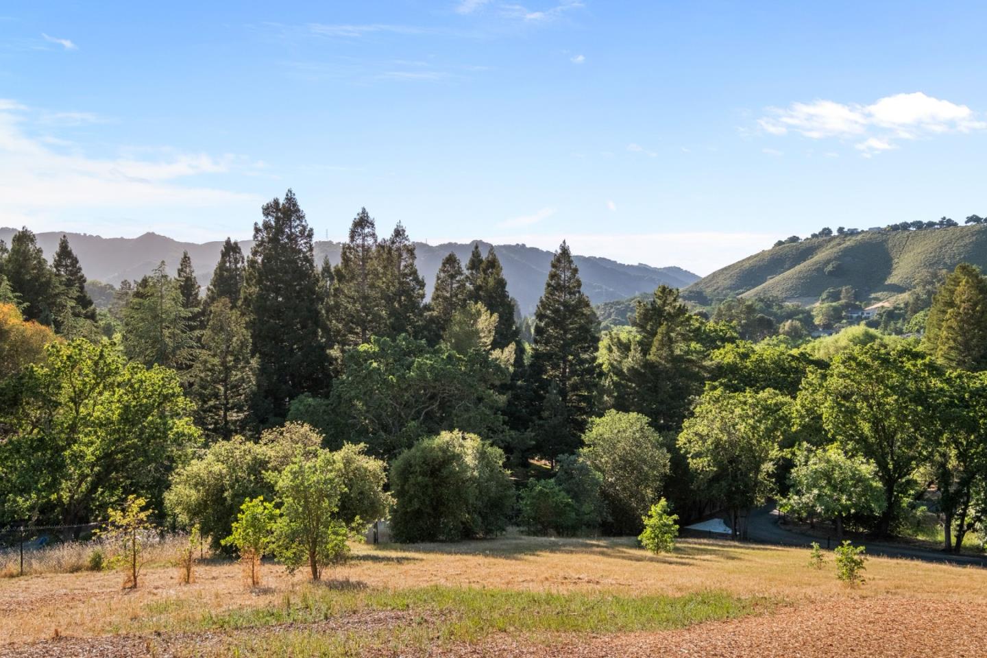 15208 Sycamore Drive