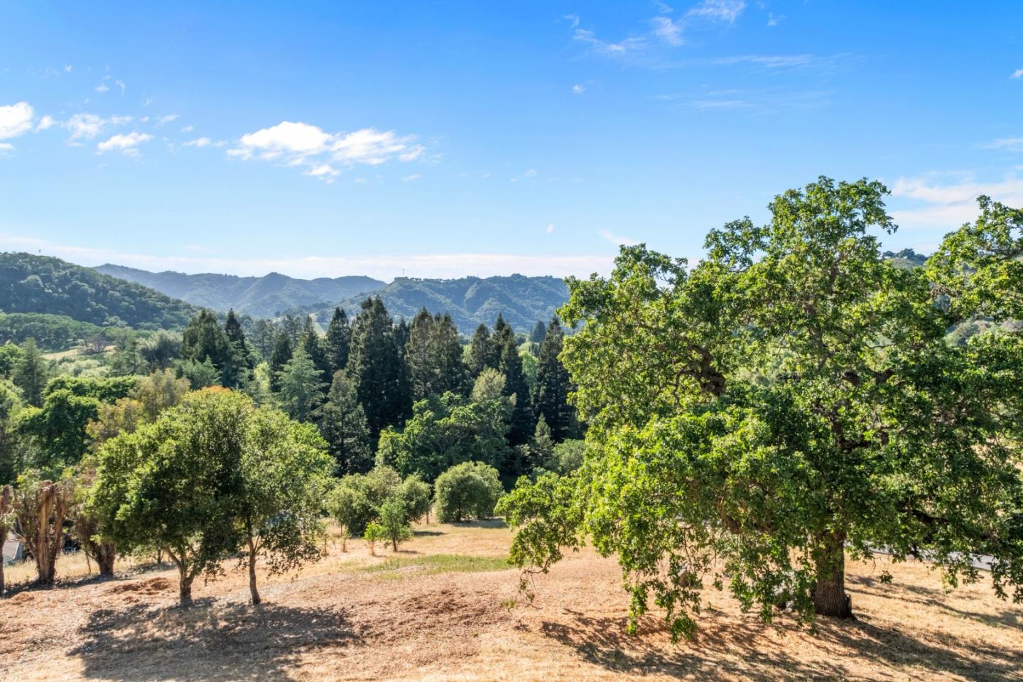 15208 Sycamore Drive
