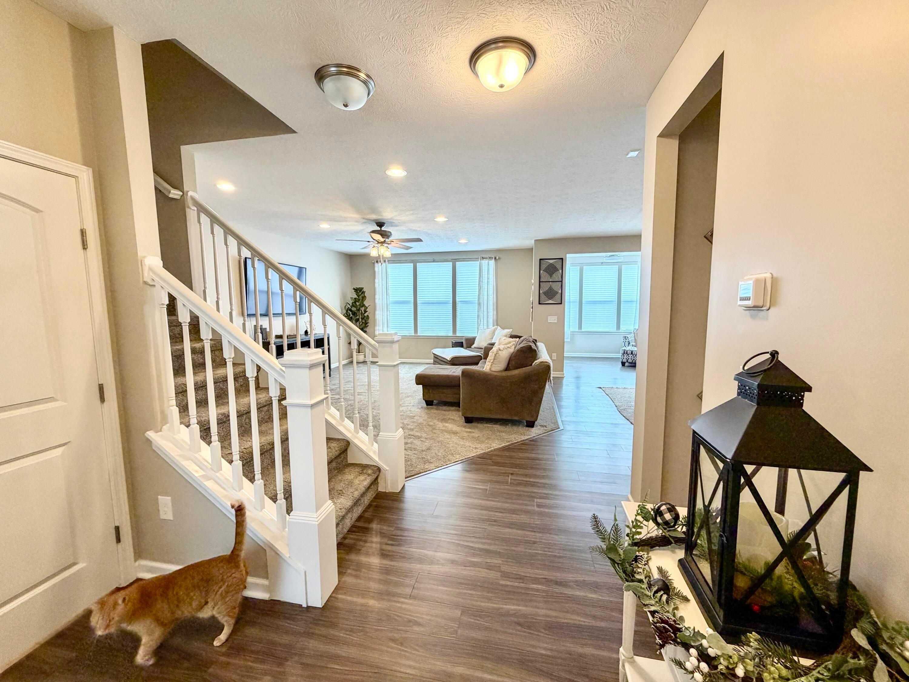 211 Leather Leaf Circle