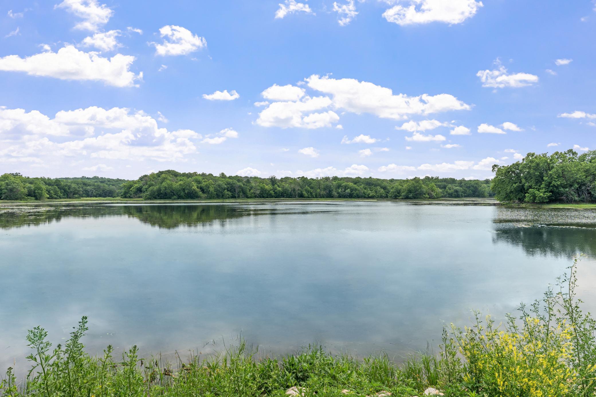 4825 Linden Cove Lane Unit: 11