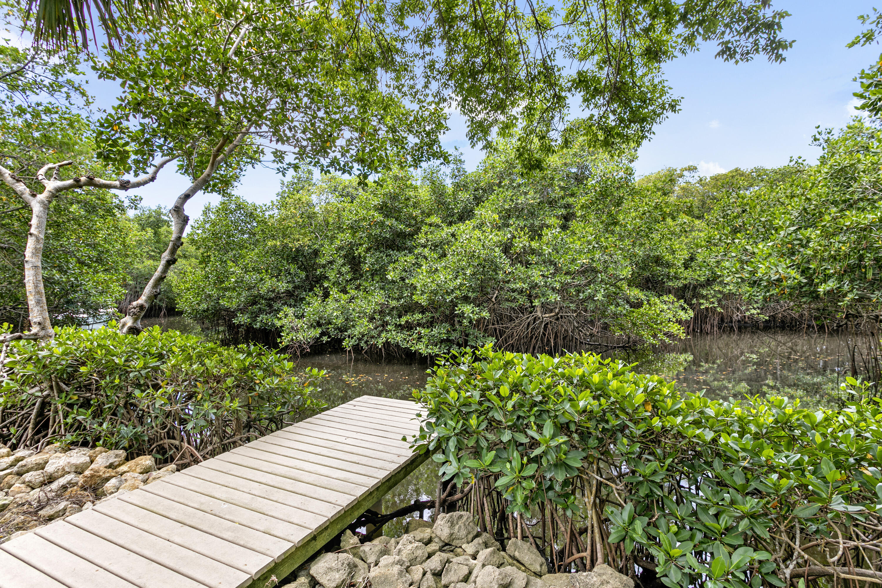 207 Jupiter Woods Drive