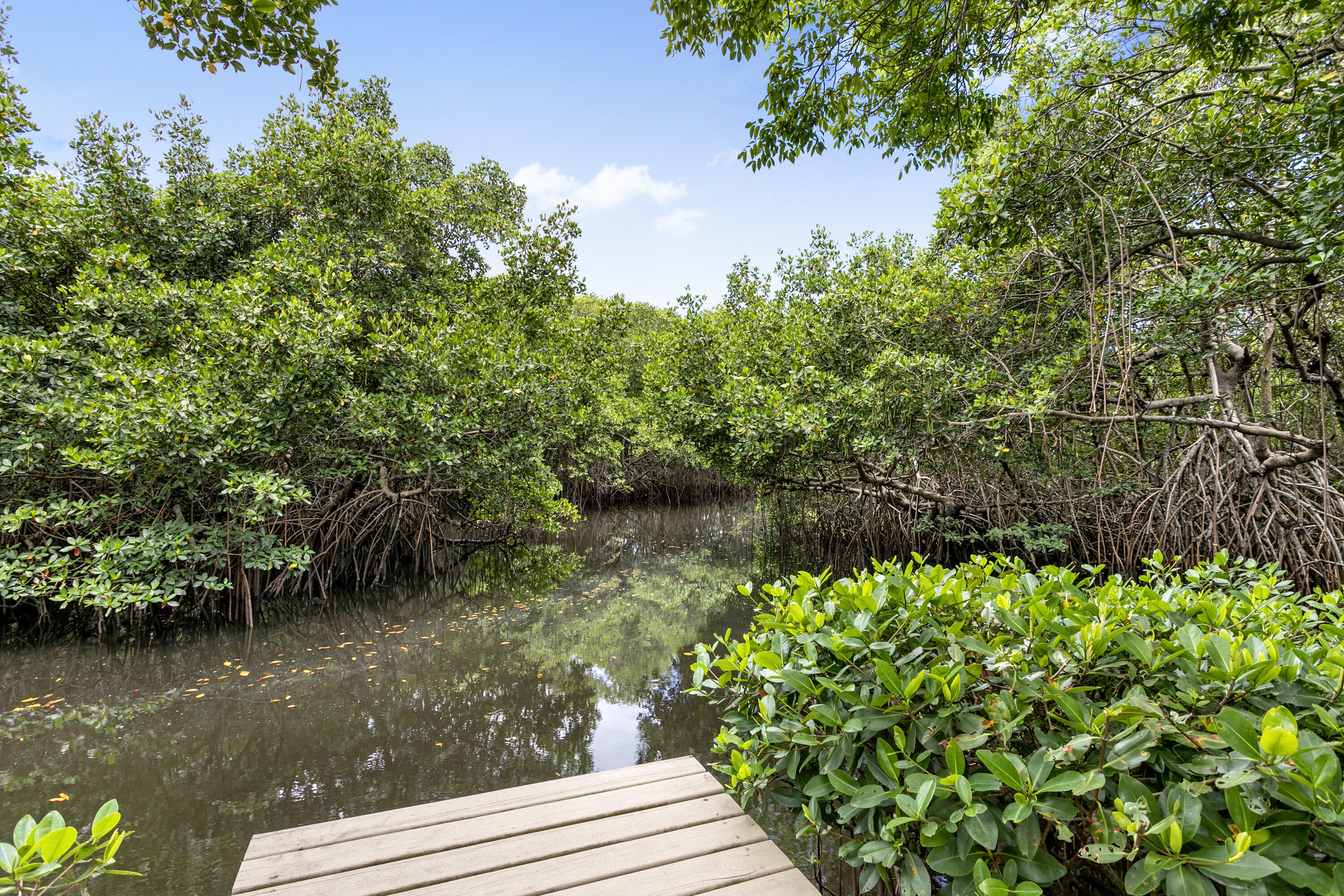 207 Jupiter Woods Drive