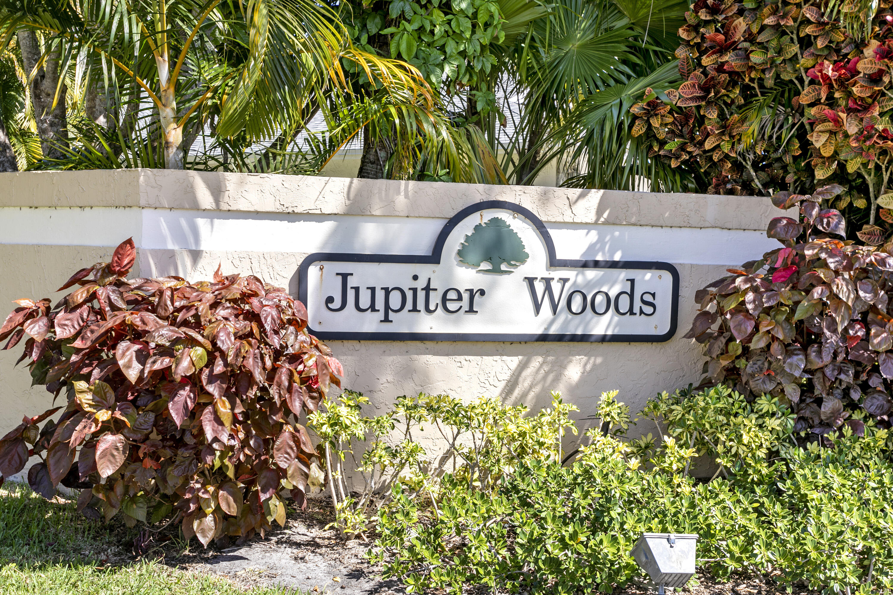 207 Jupiter Woods Drive