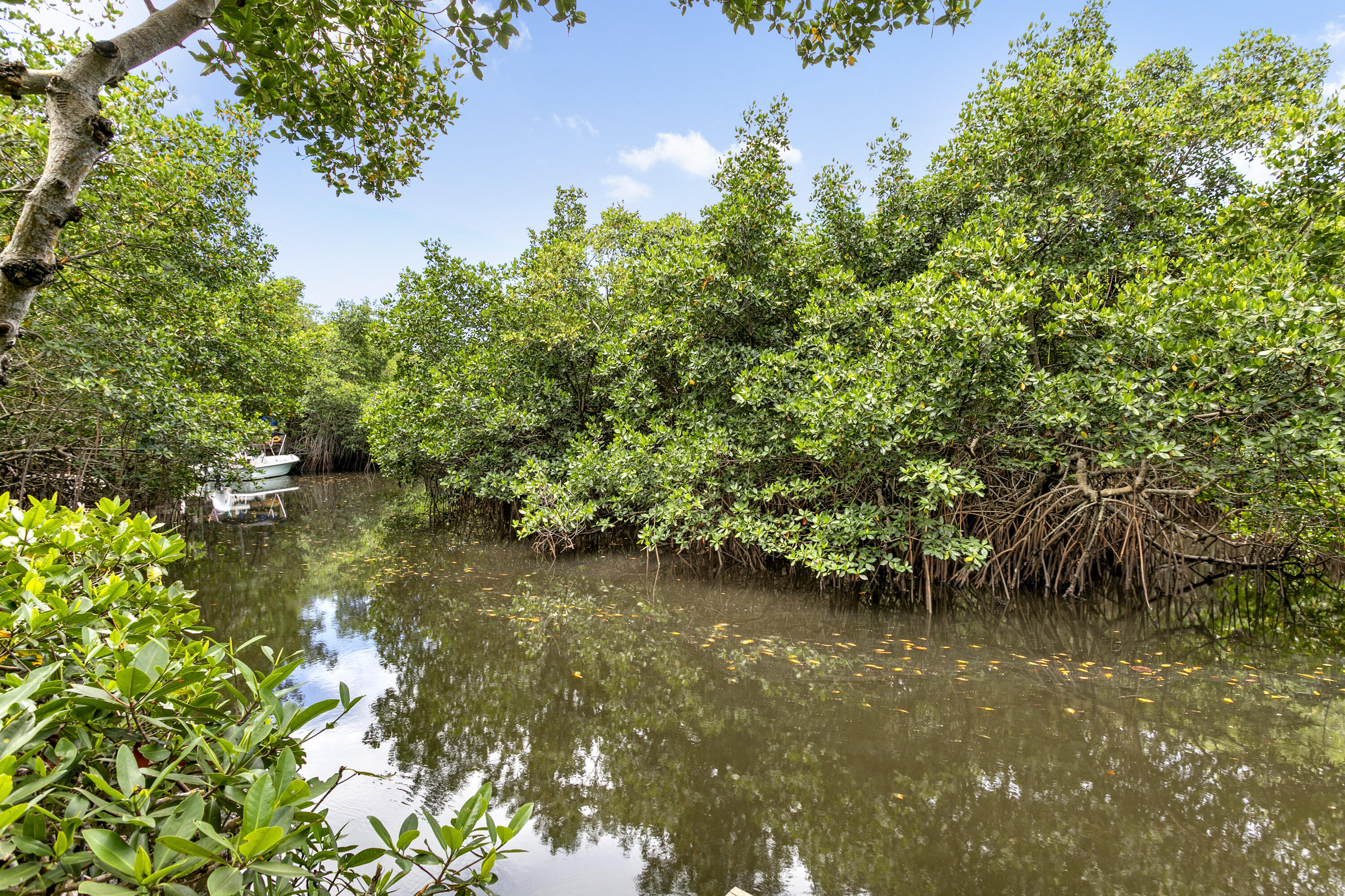 207 Jupiter Woods Drive