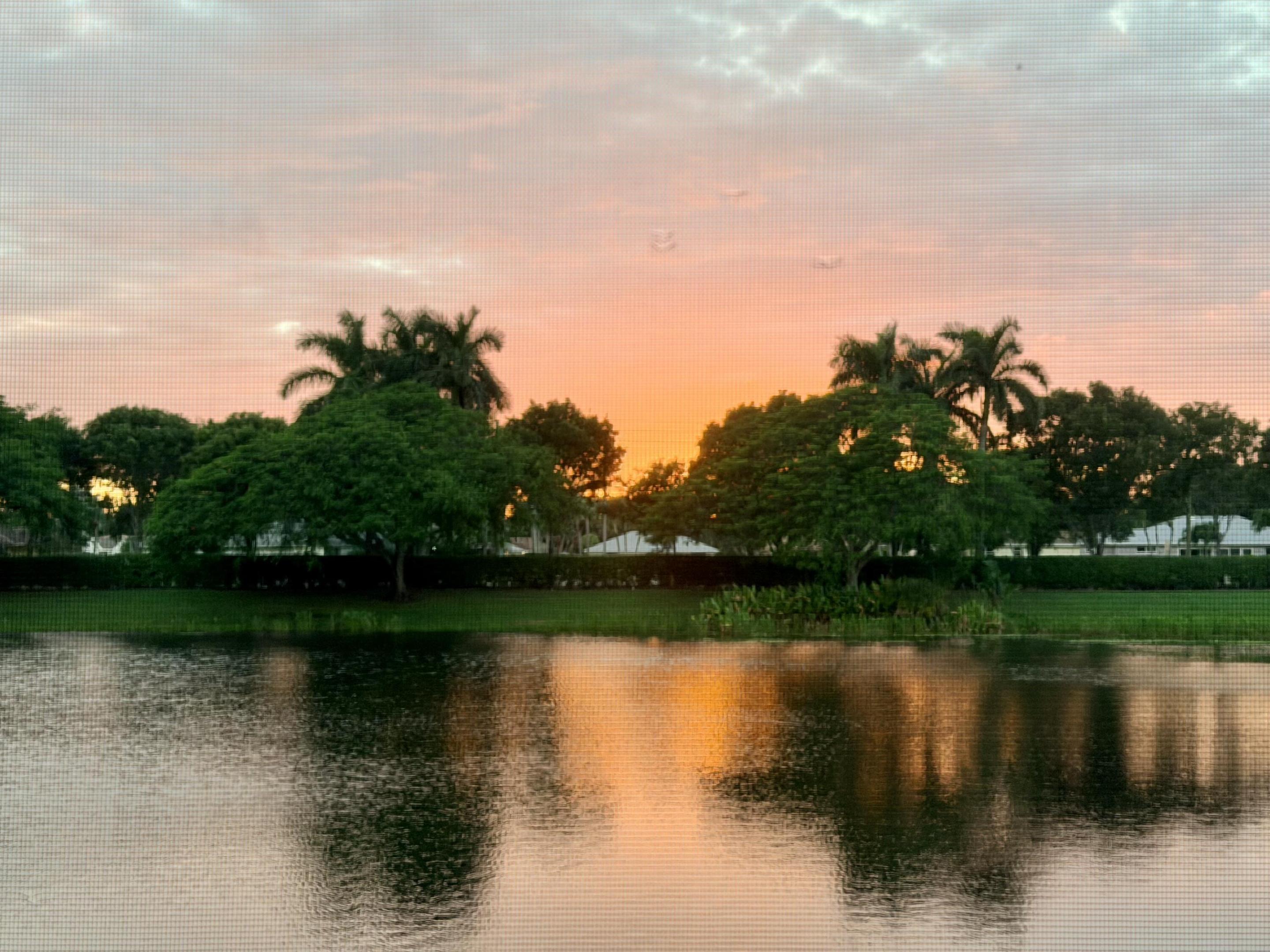 10615 Grande Palladium Way