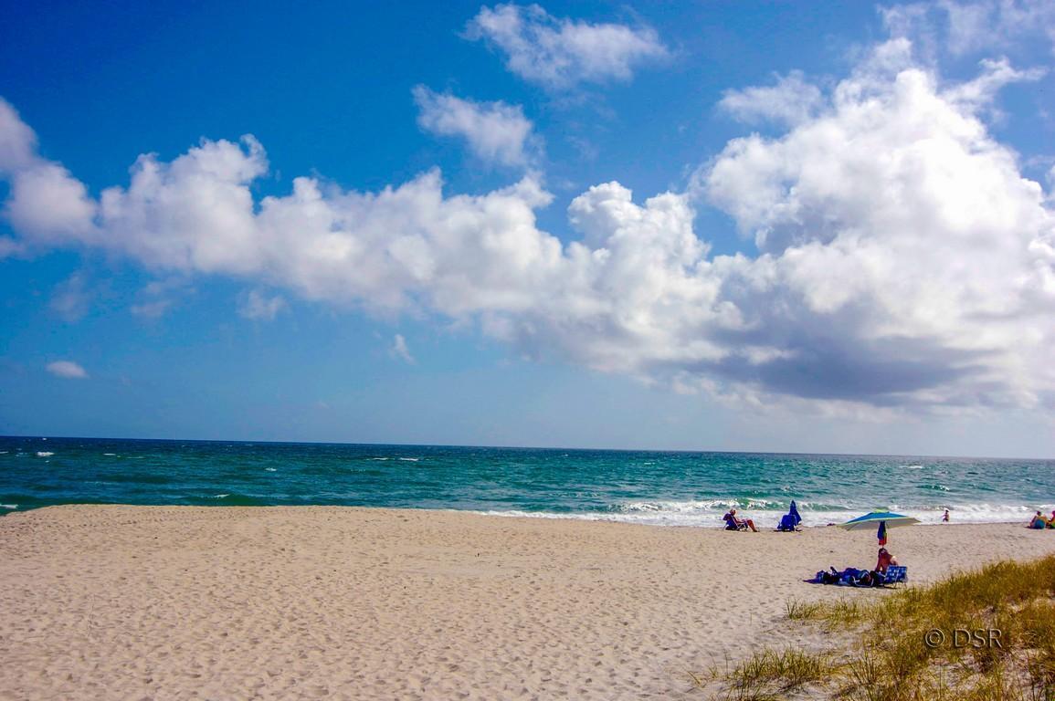 950 Ponce De Leon Road