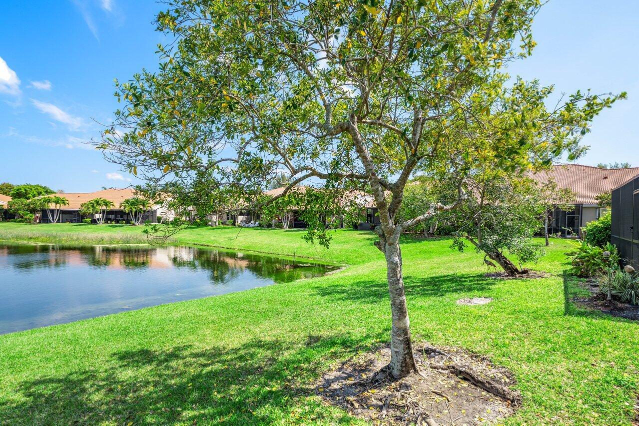 23069 Addison Lakes Circle