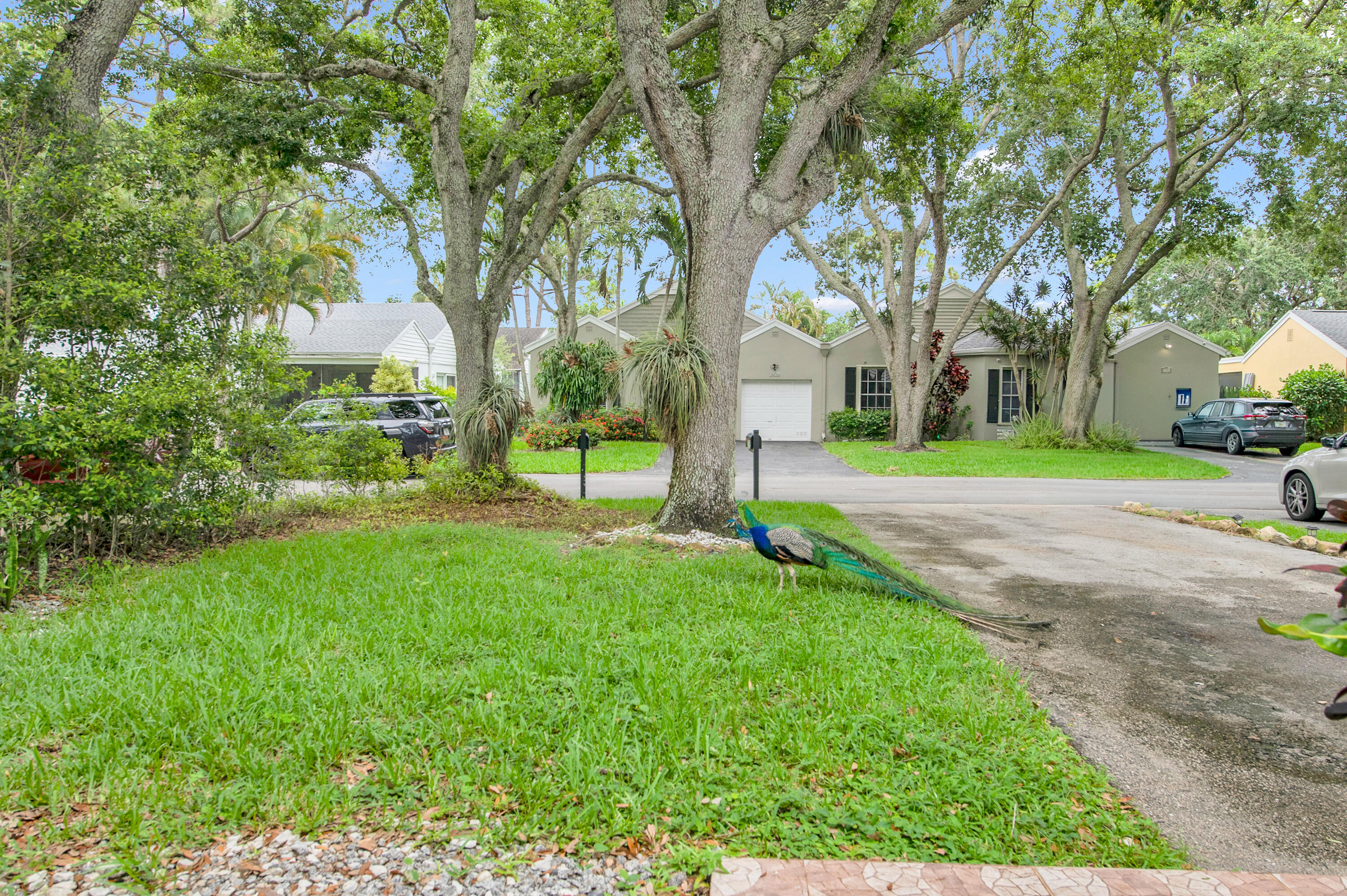 7705 Forest Green Lane