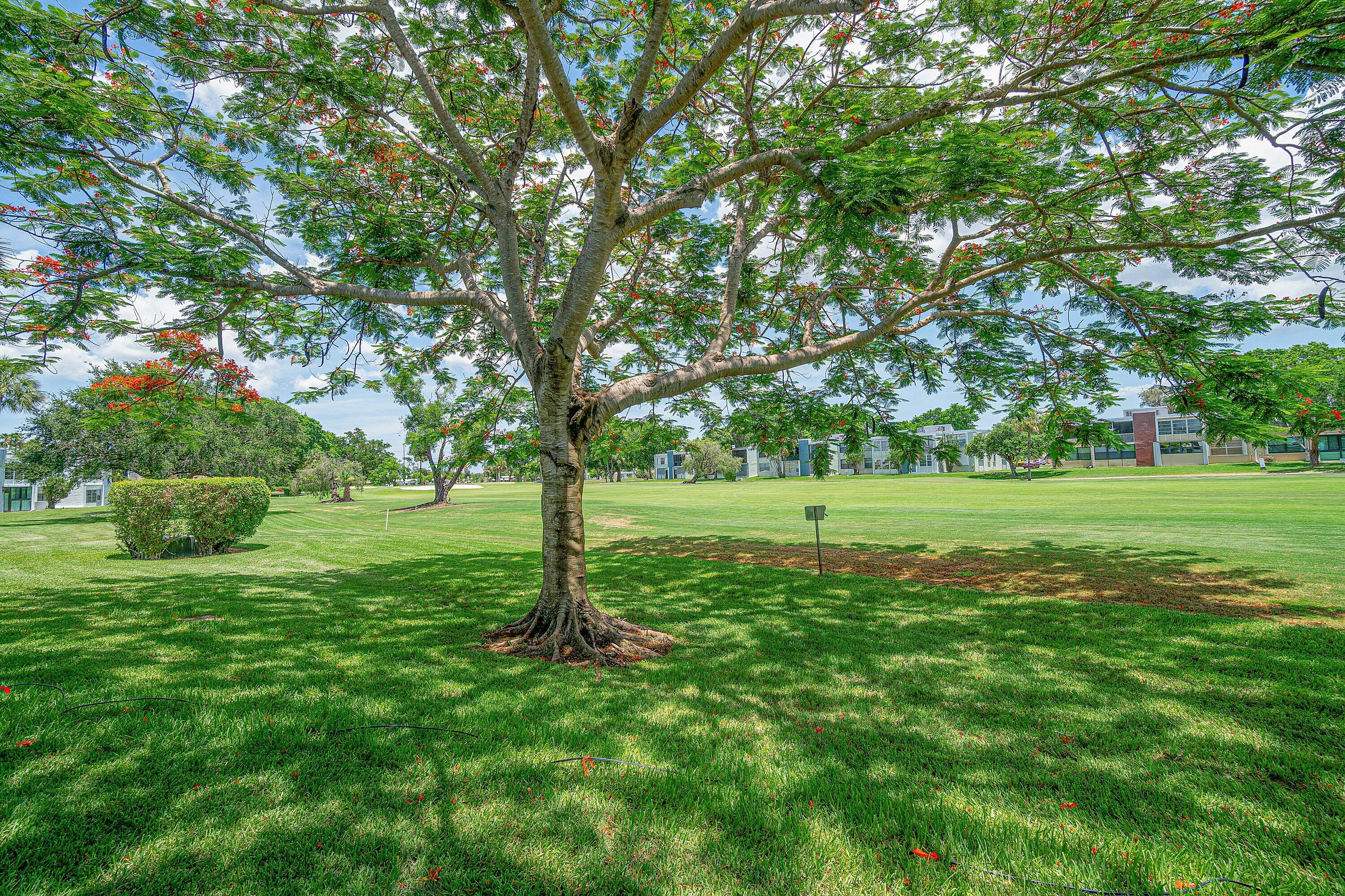 7380 NW 18th Street 108