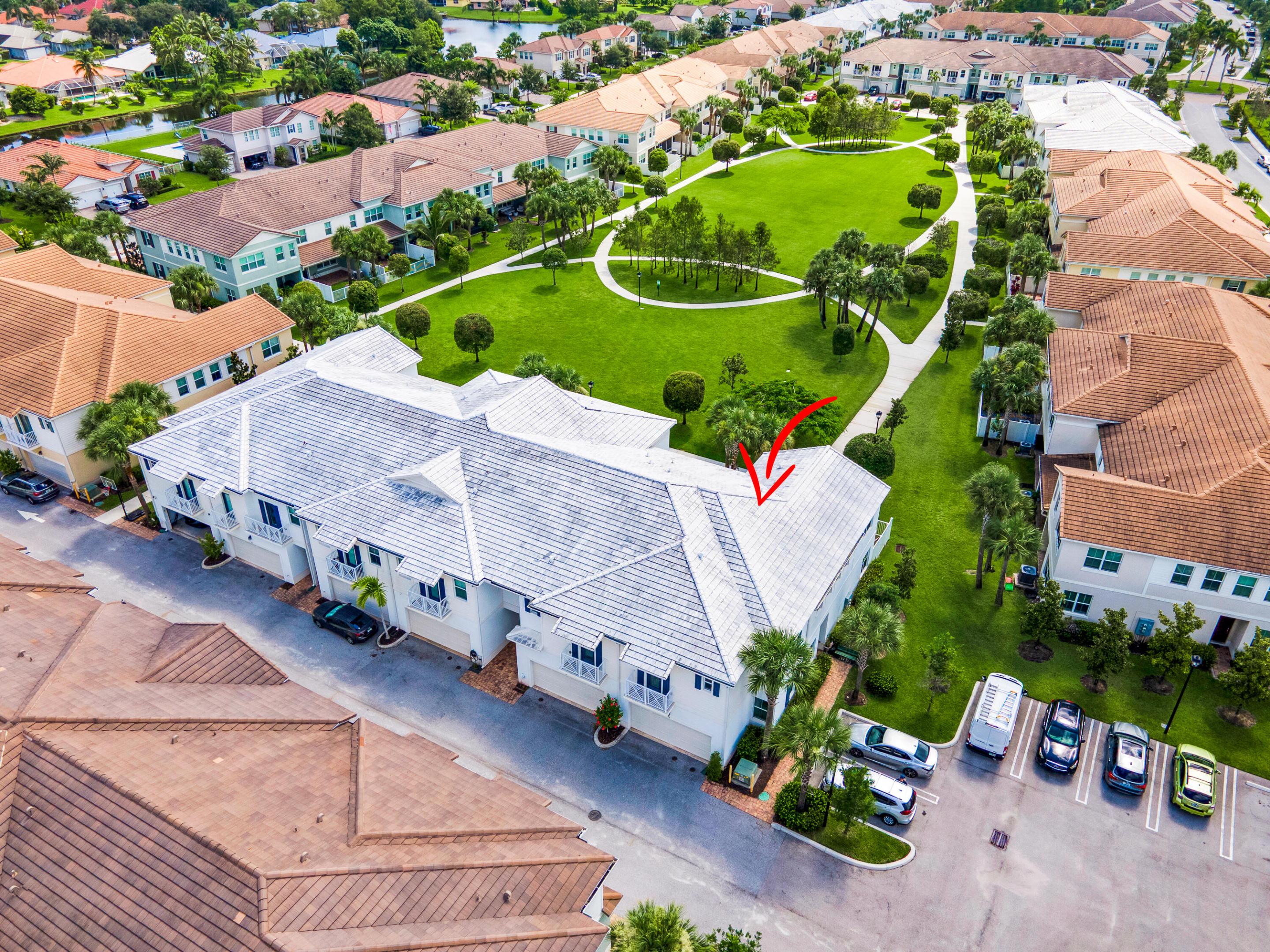 50 PALM Lane