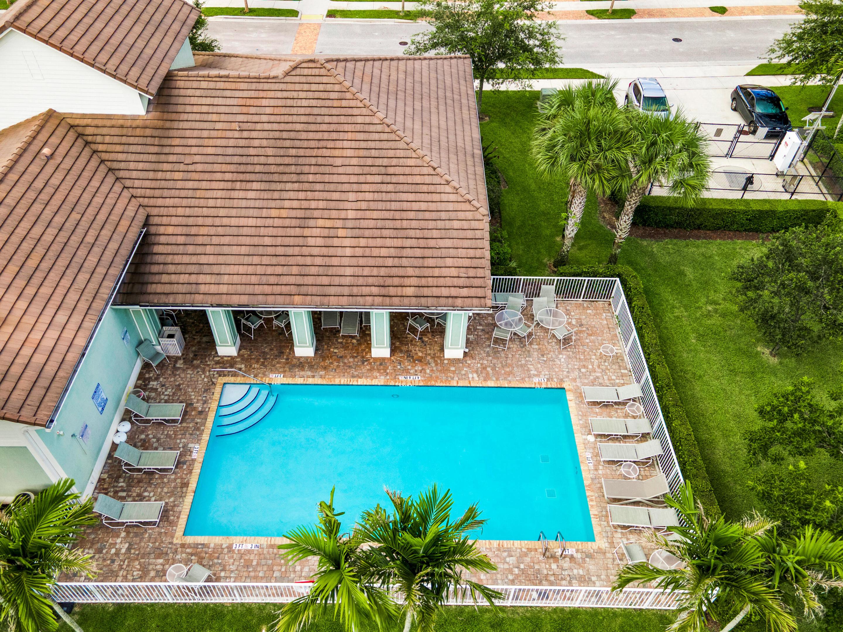 50 PALM Lane