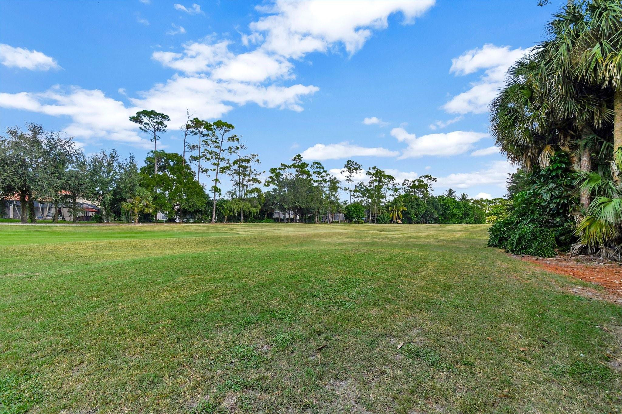 541 Cypress Crossing Crossing
