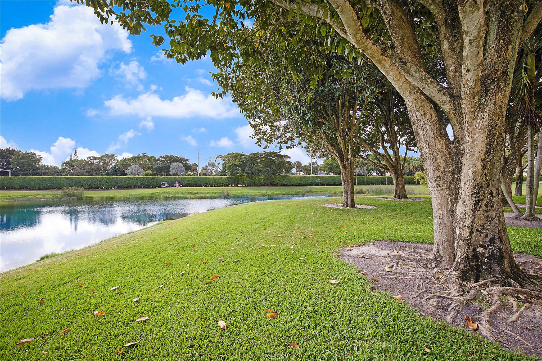 7186 Promenade Dr 101