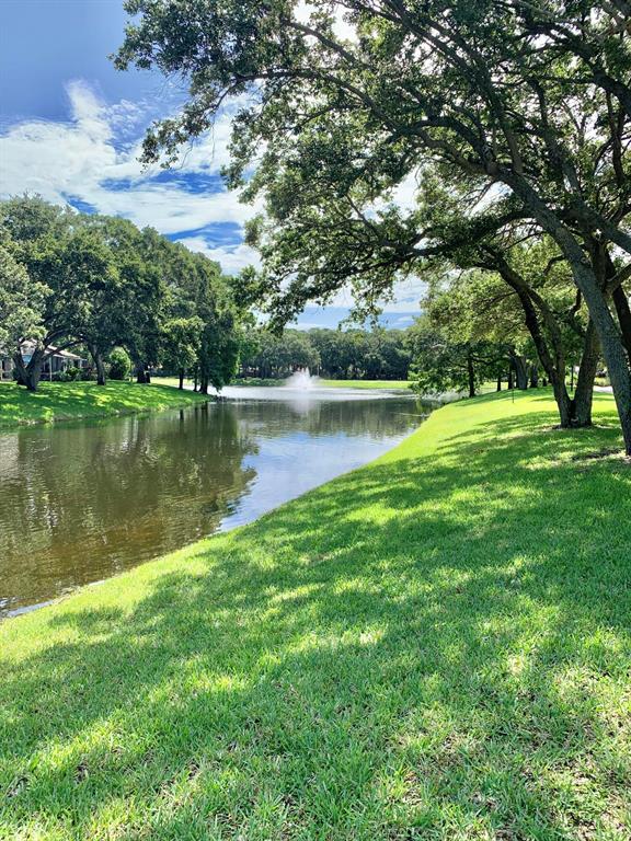 1003 Silverleaf Oak Court