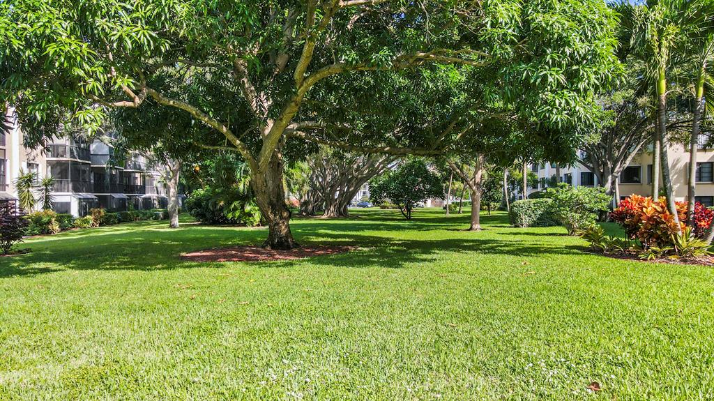 300 N Highway A1a Unit: 206i