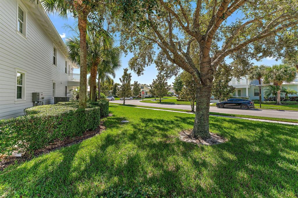 1169 Tropical Drive