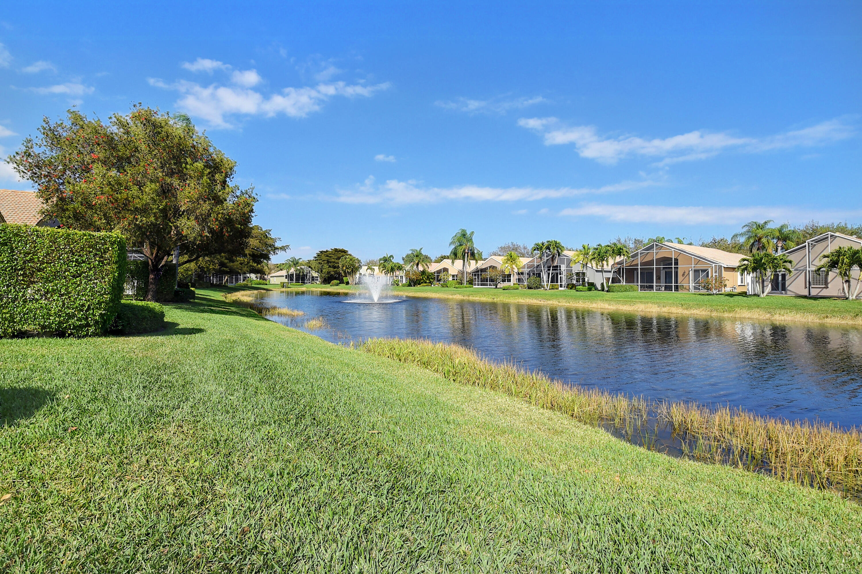 10428 Gold Leaf Drive