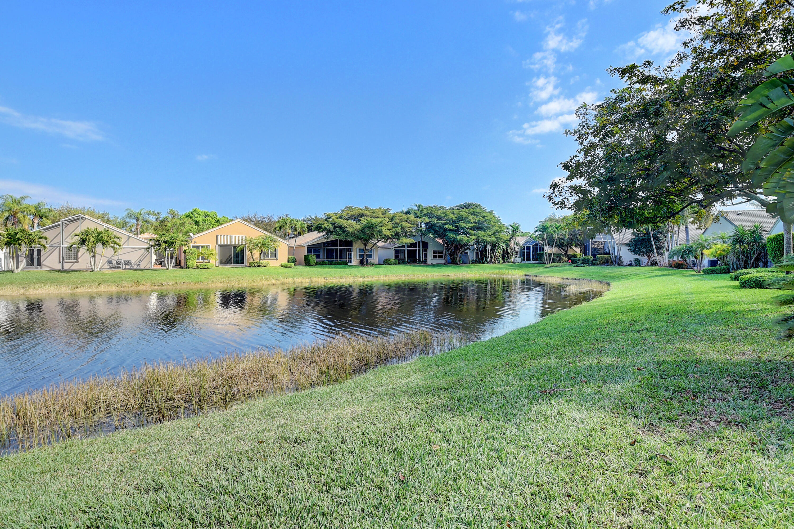 10428 Gold Leaf Drive
