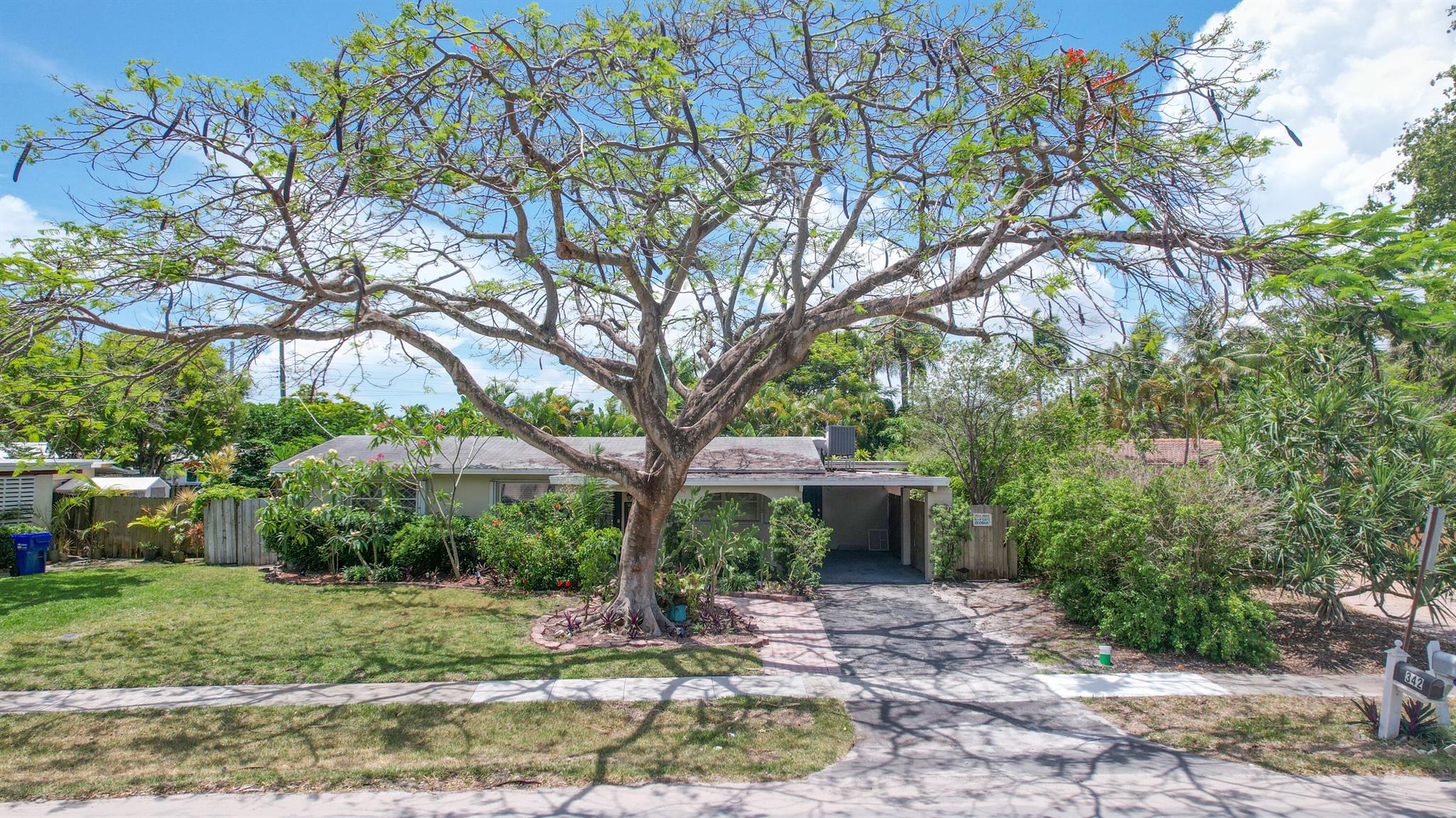 342 SW 14th Street