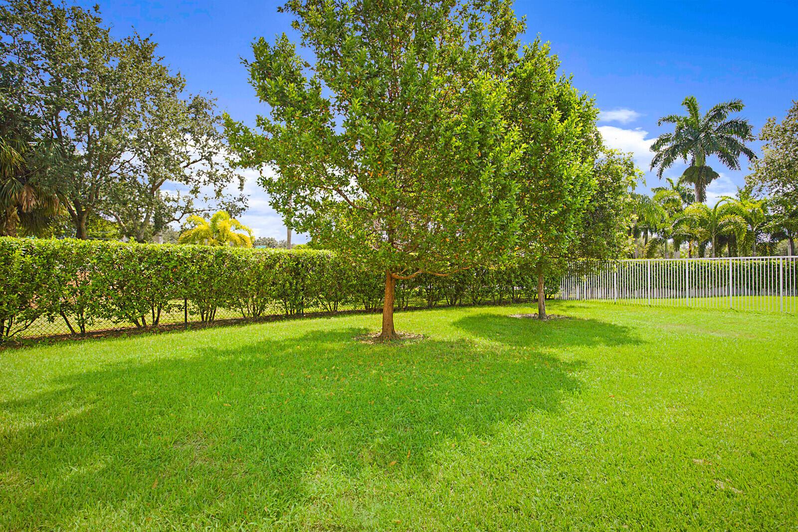 3329 Turtle Cove