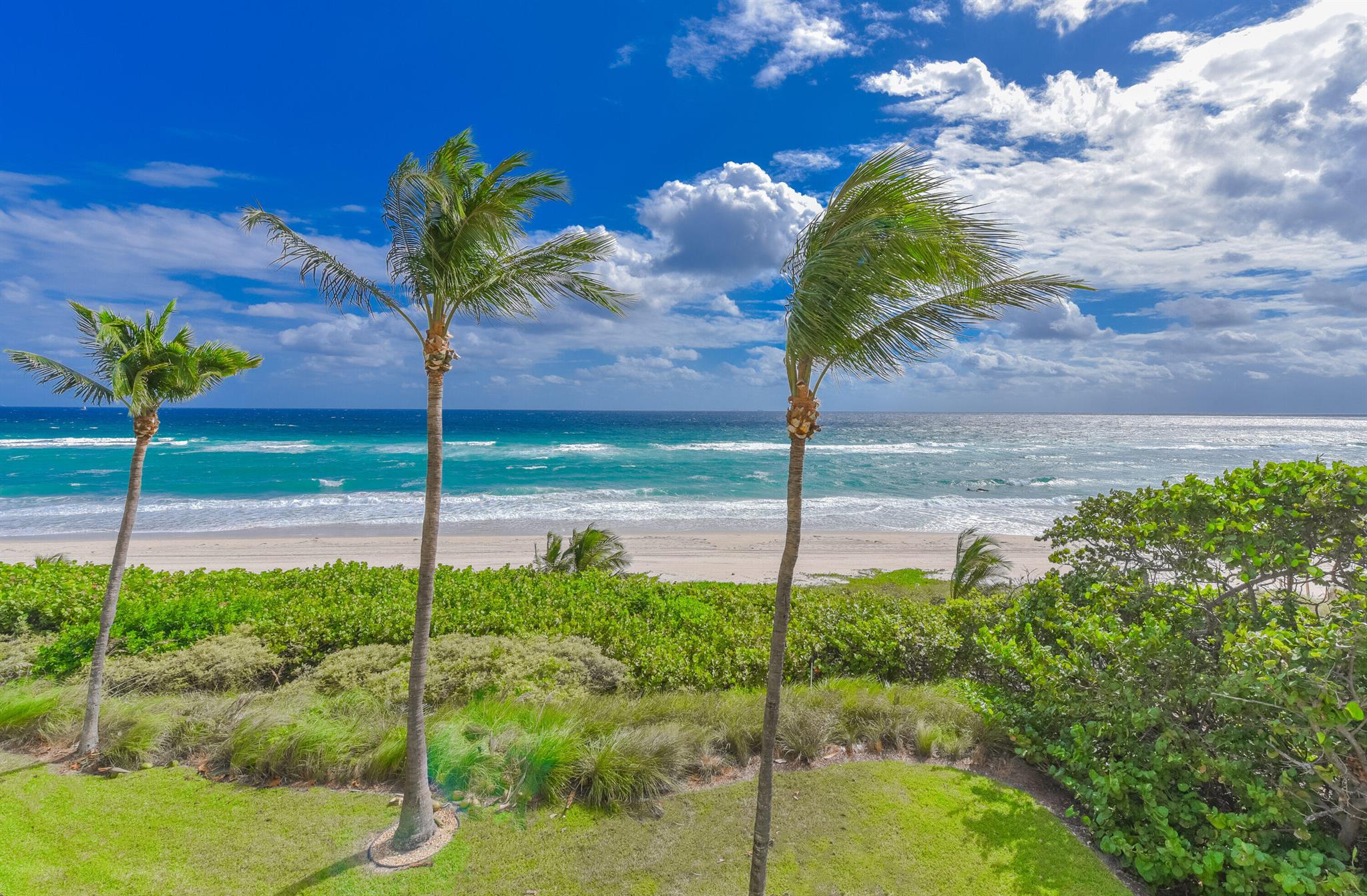 1063 Hillsboro Mile 301