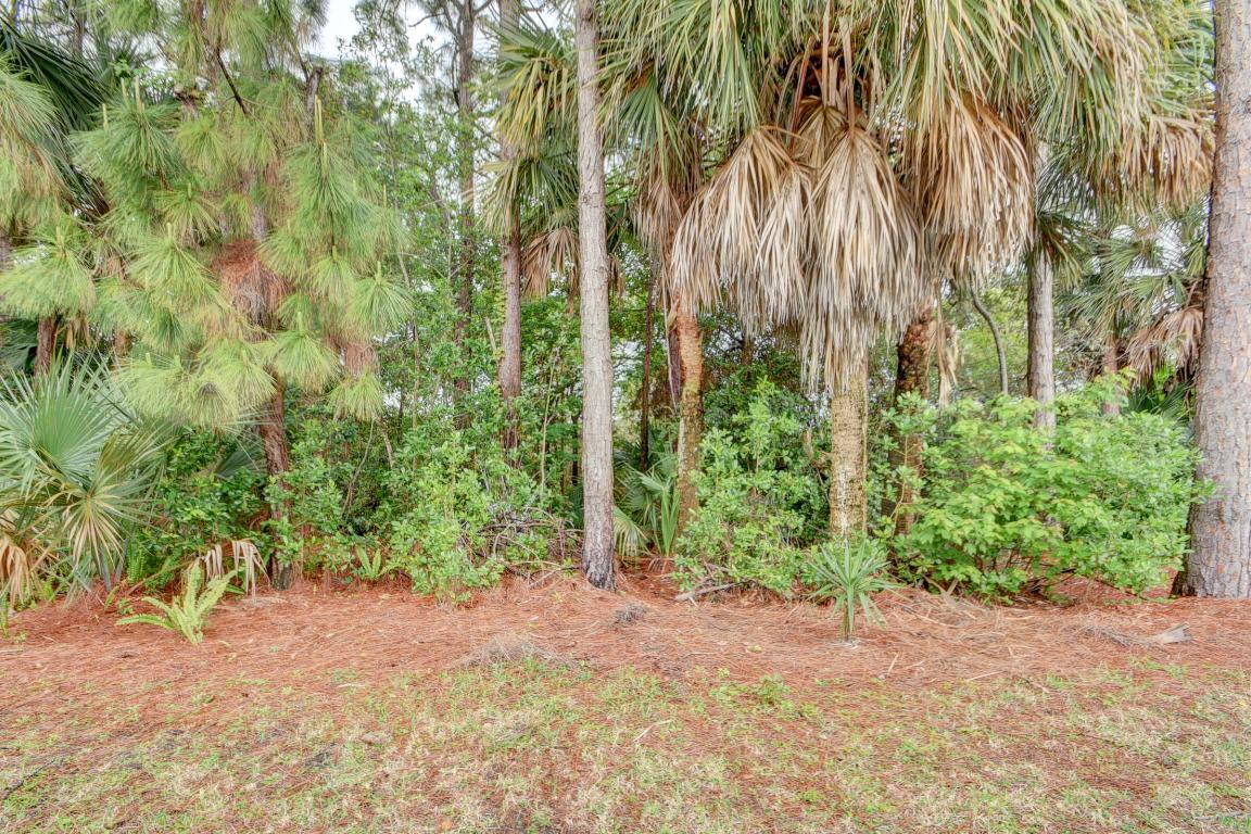 8355 Siciliano Street, Boynton Beach