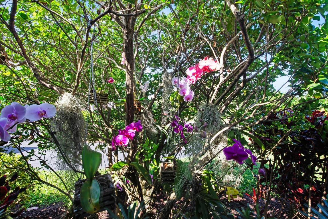 1298 NW 4th Street, Boca Raton