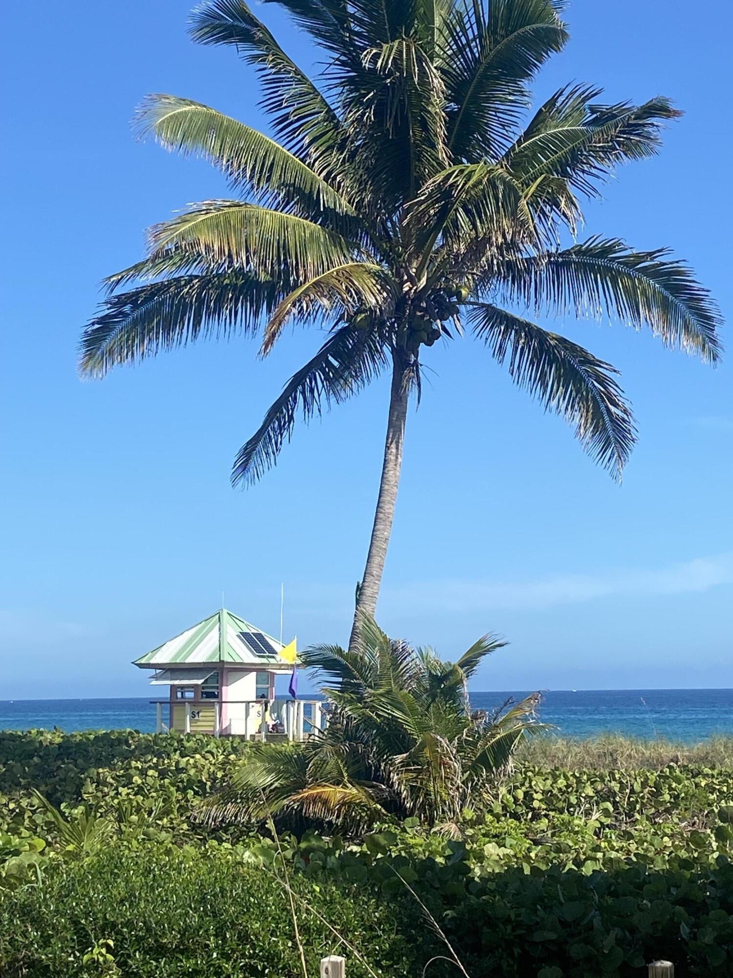 185 NE 4th Avenue, 209, Delray Beach Unit: 209