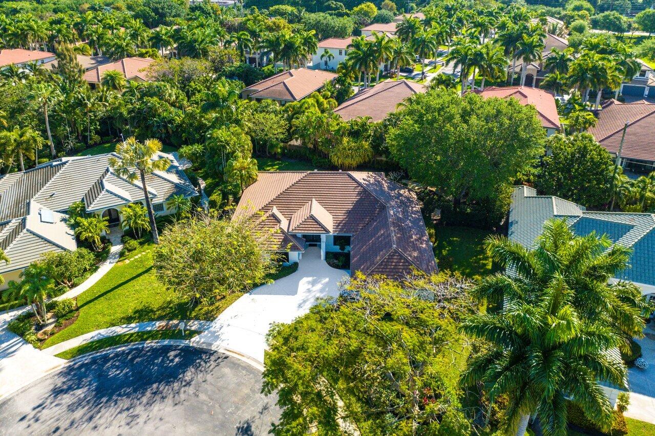 12908 Cocoa Pine Drive