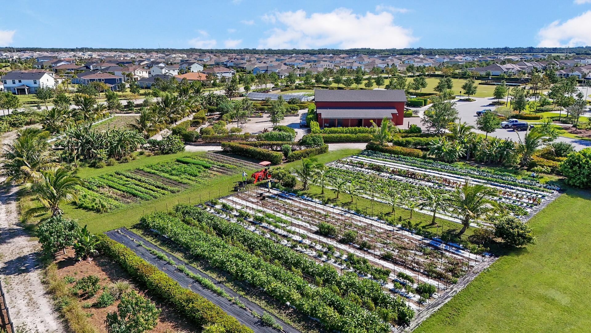 864 Sterling Pine Place, Loxahatchee