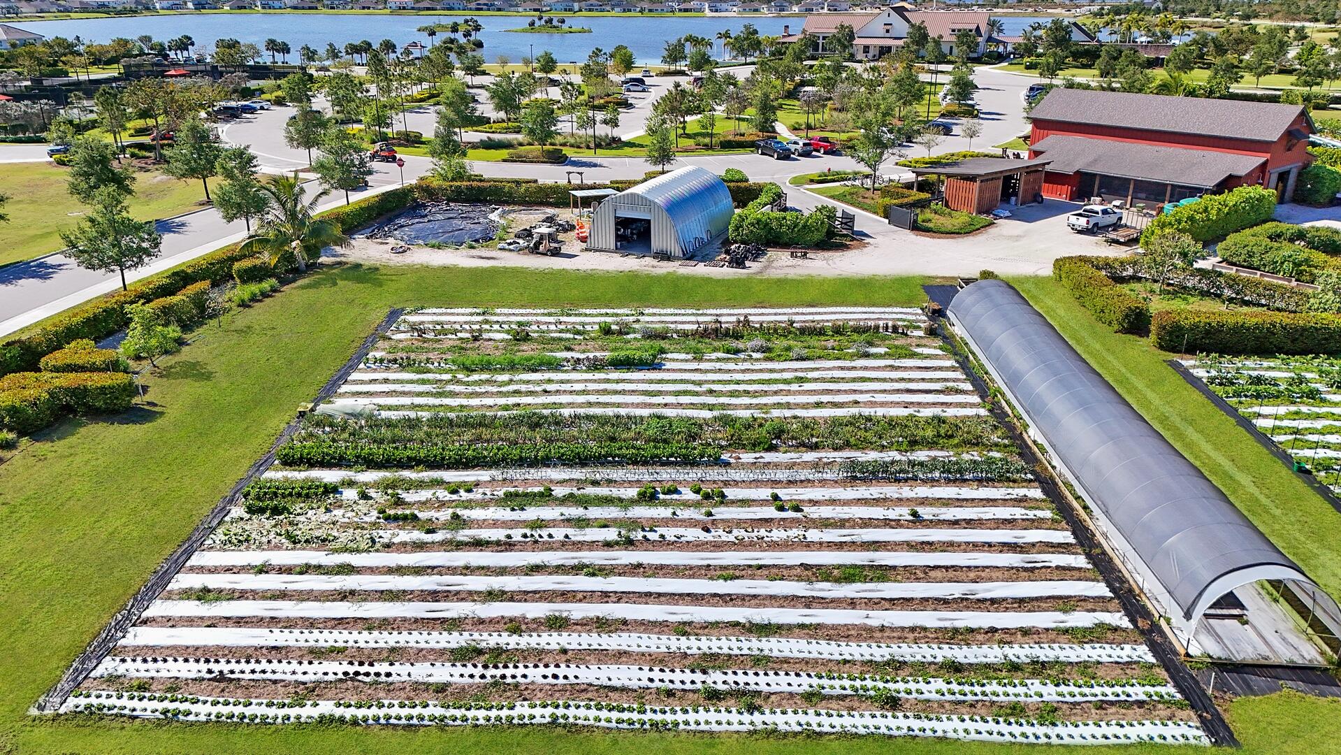 864 Sterling Pine Place, Loxahatchee