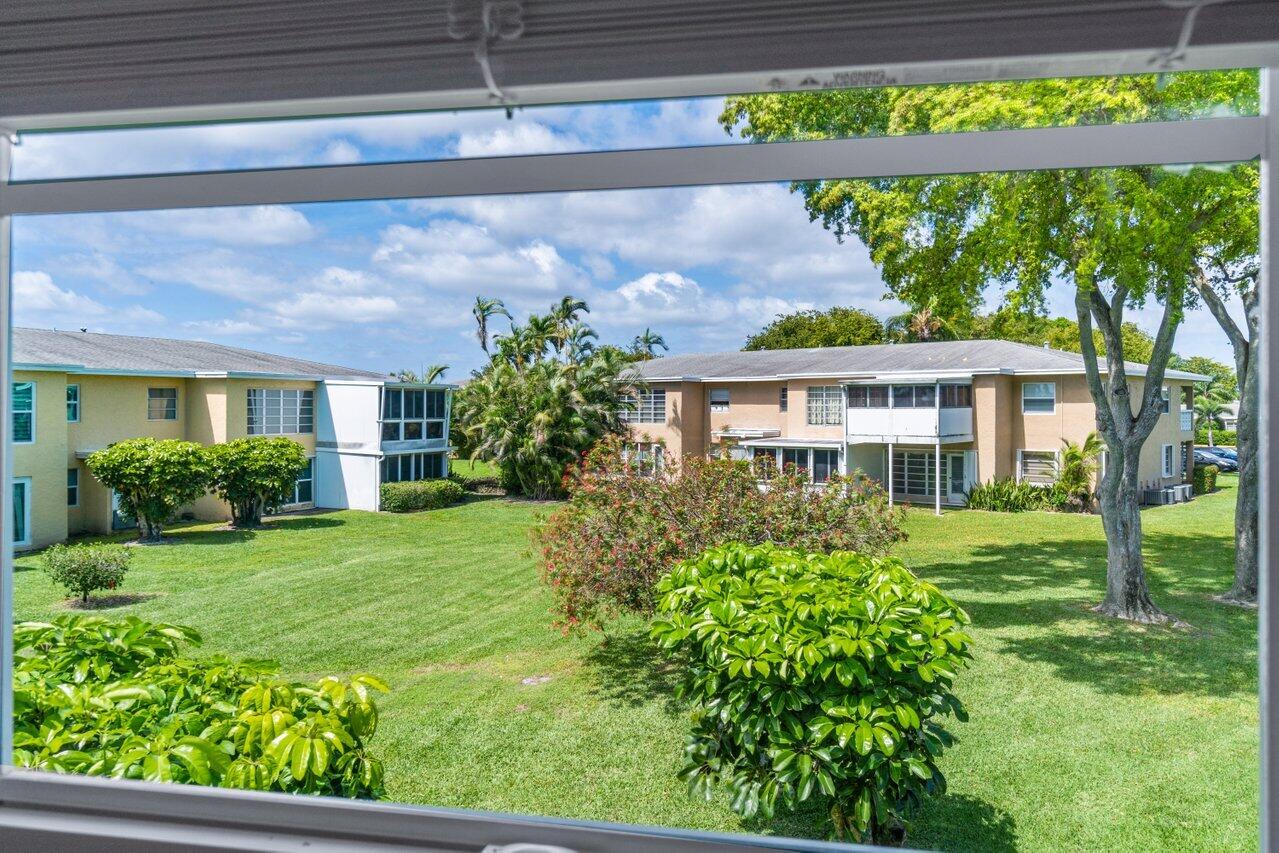 2411 Papaya Drive 203