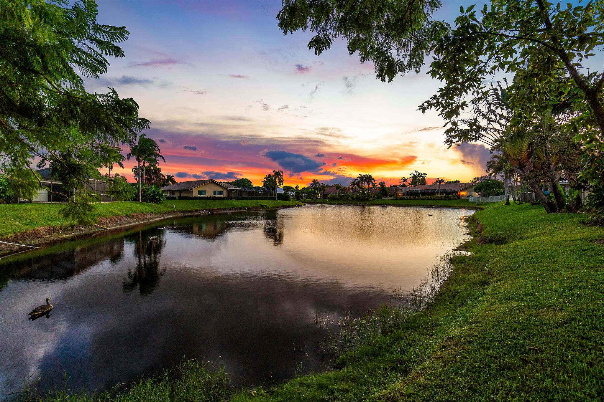 2294 Deer Creek Lob Lolly Lane