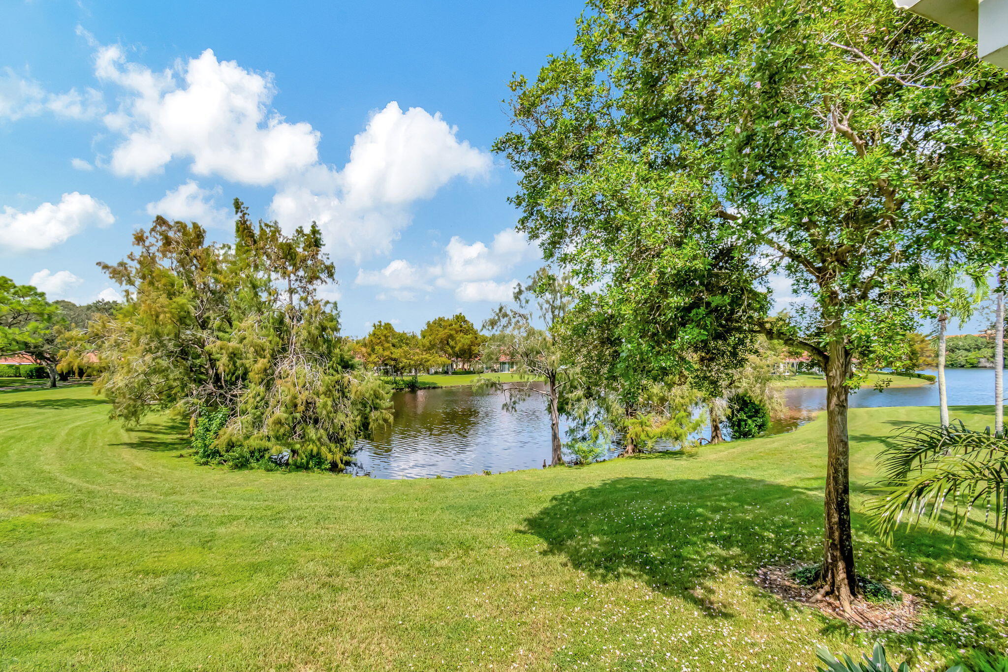 3306 Black Oak Court