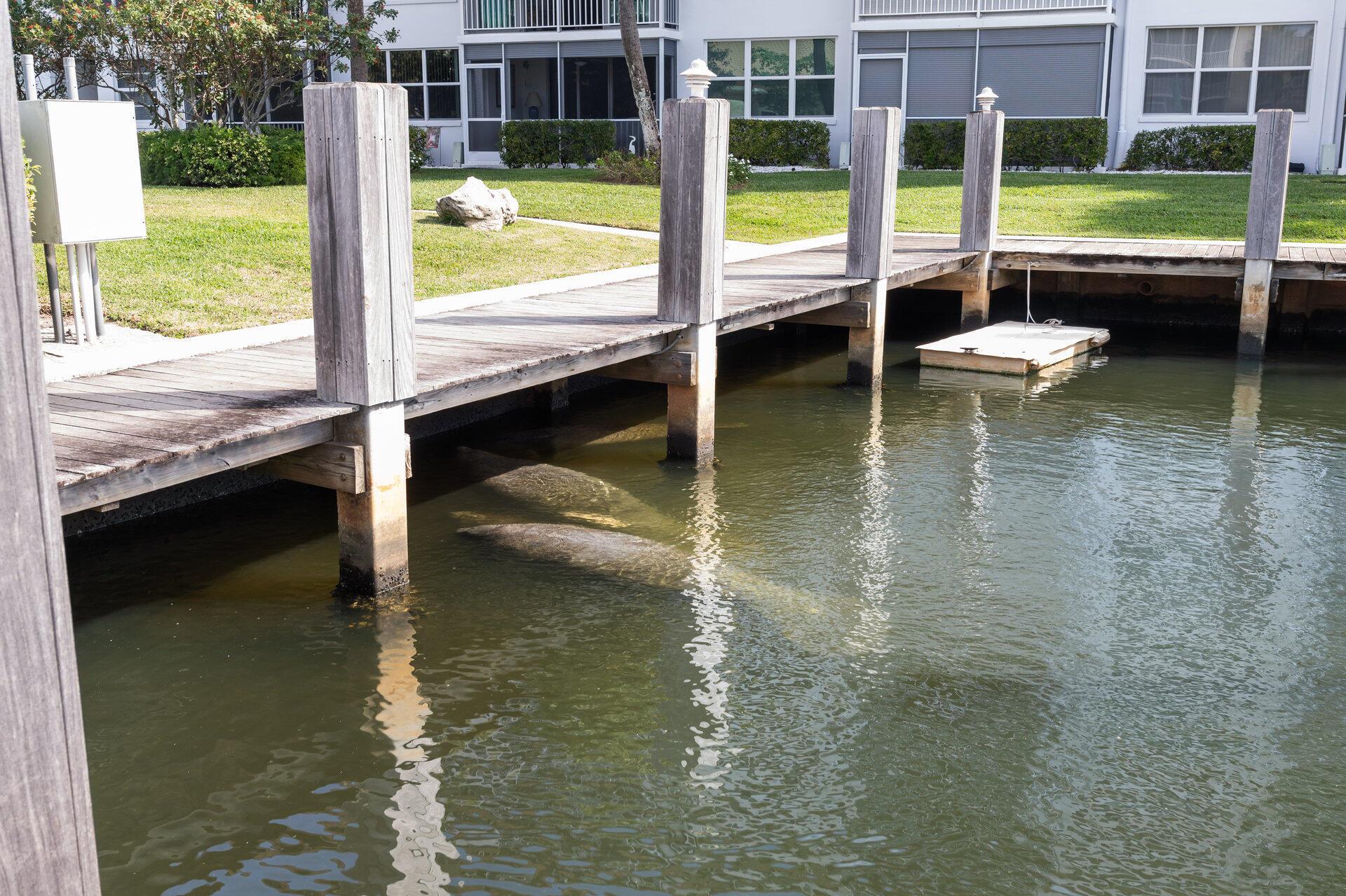 910 Dogwood 544 Drive 544