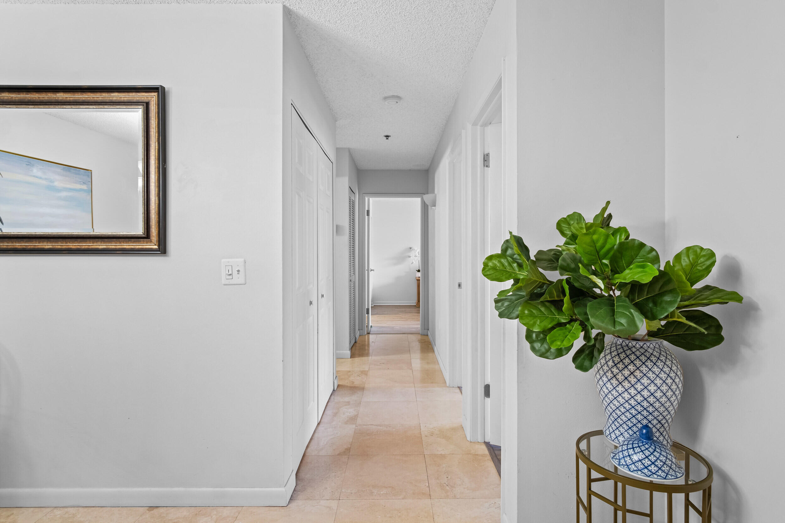 3207 Clint Moore Road 205