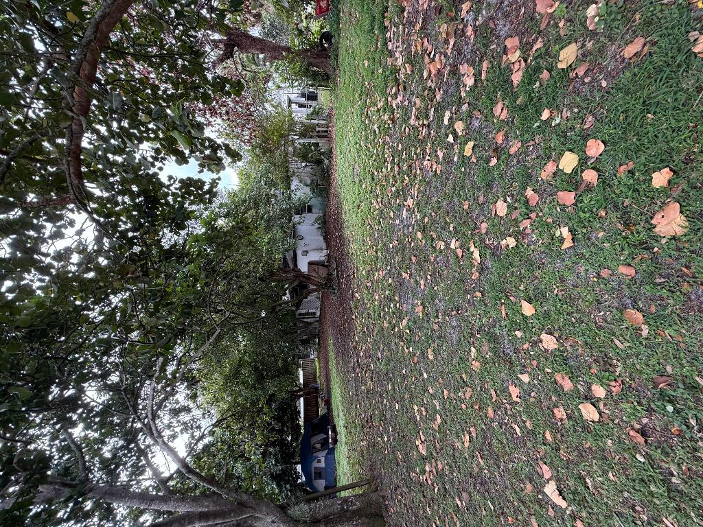 606 Mercury Street, West Palm Beach