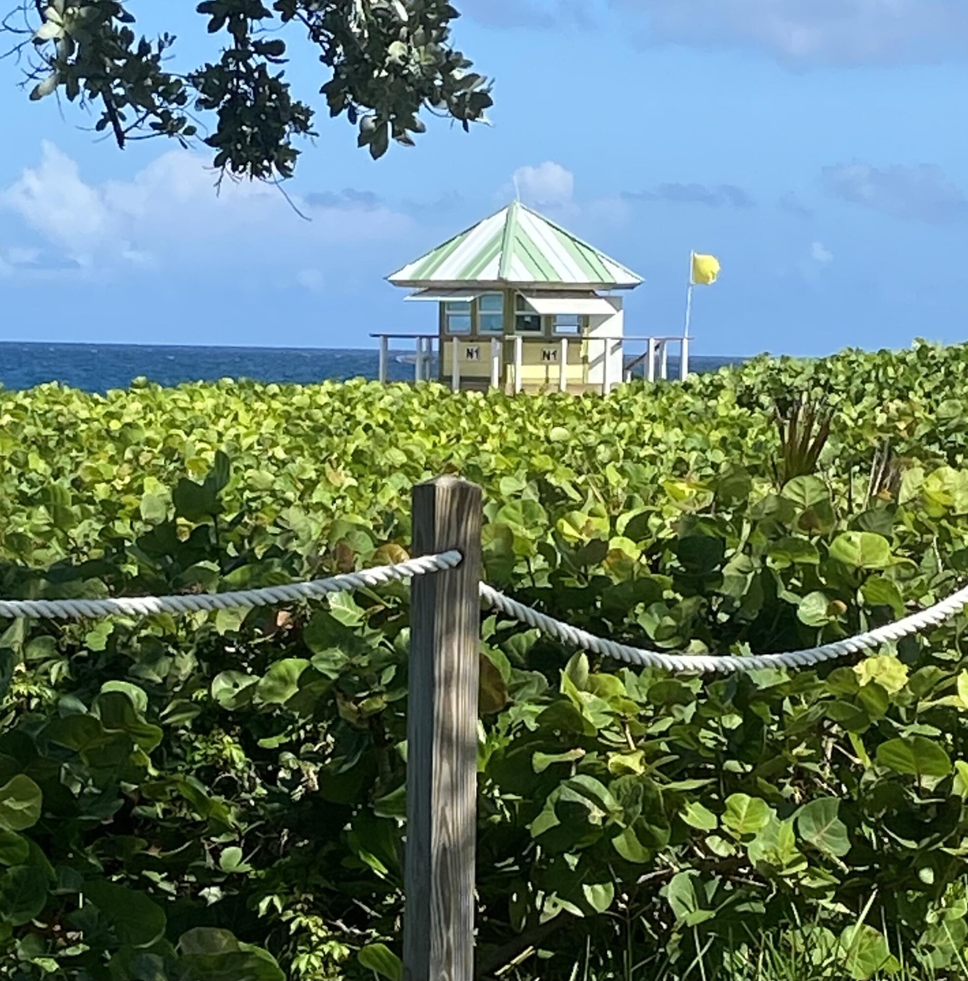 1295 Crystal 103 Way, 103, Delray Beach Unit: 103