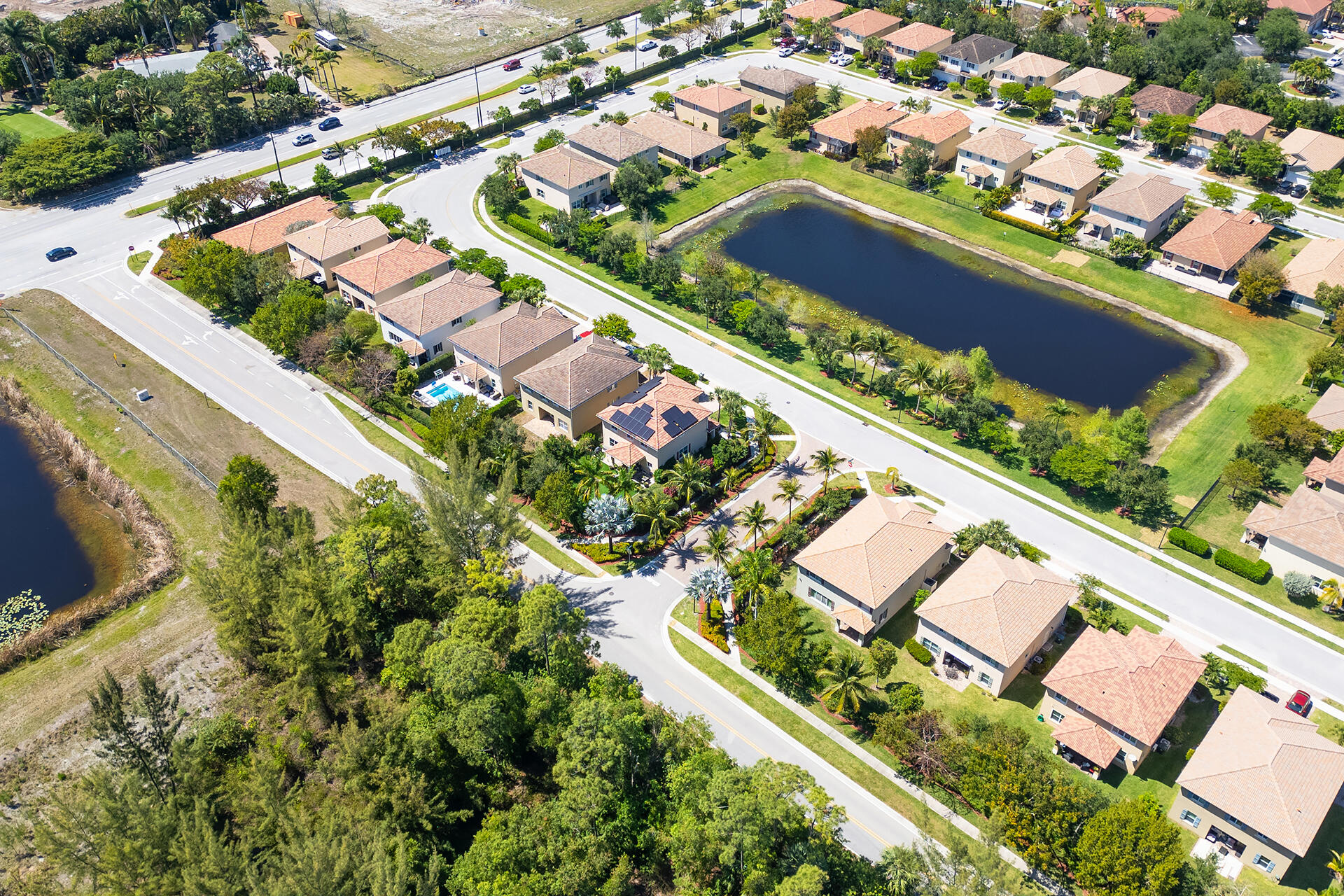 4725 Foxtail Palm Court