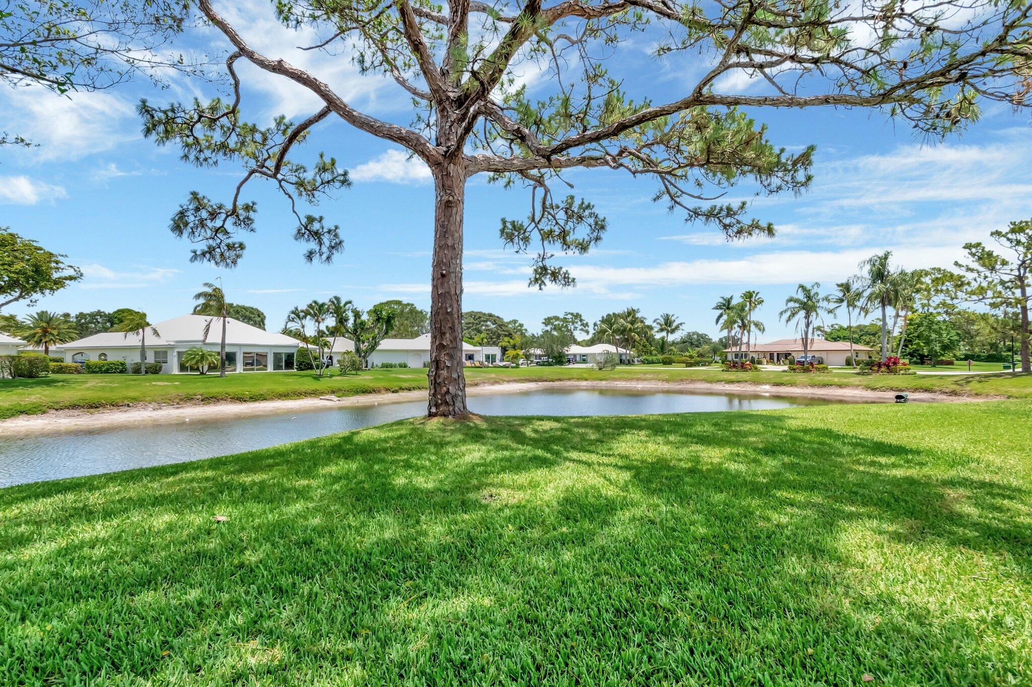 5 Slash Pine Drive