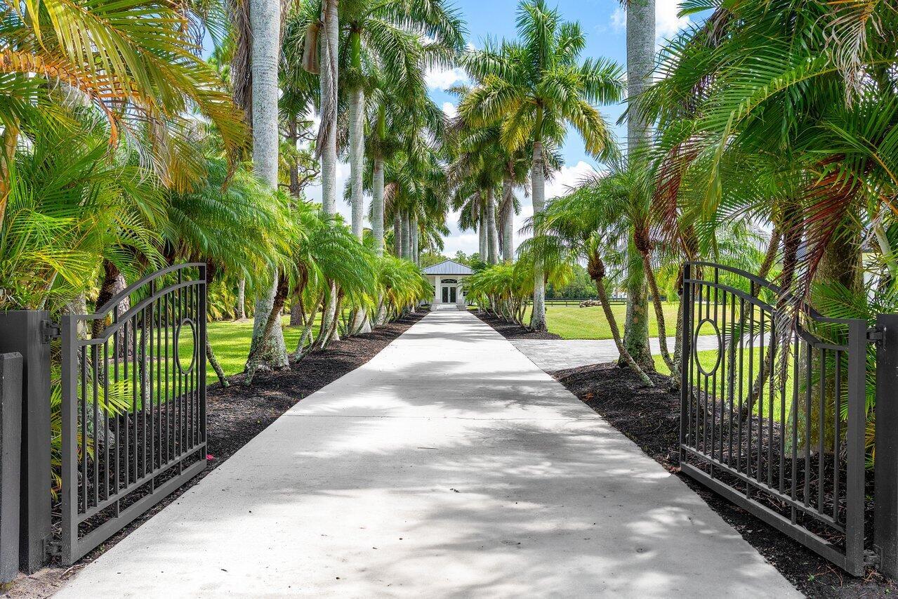 11533 Manatee Terrace 11533