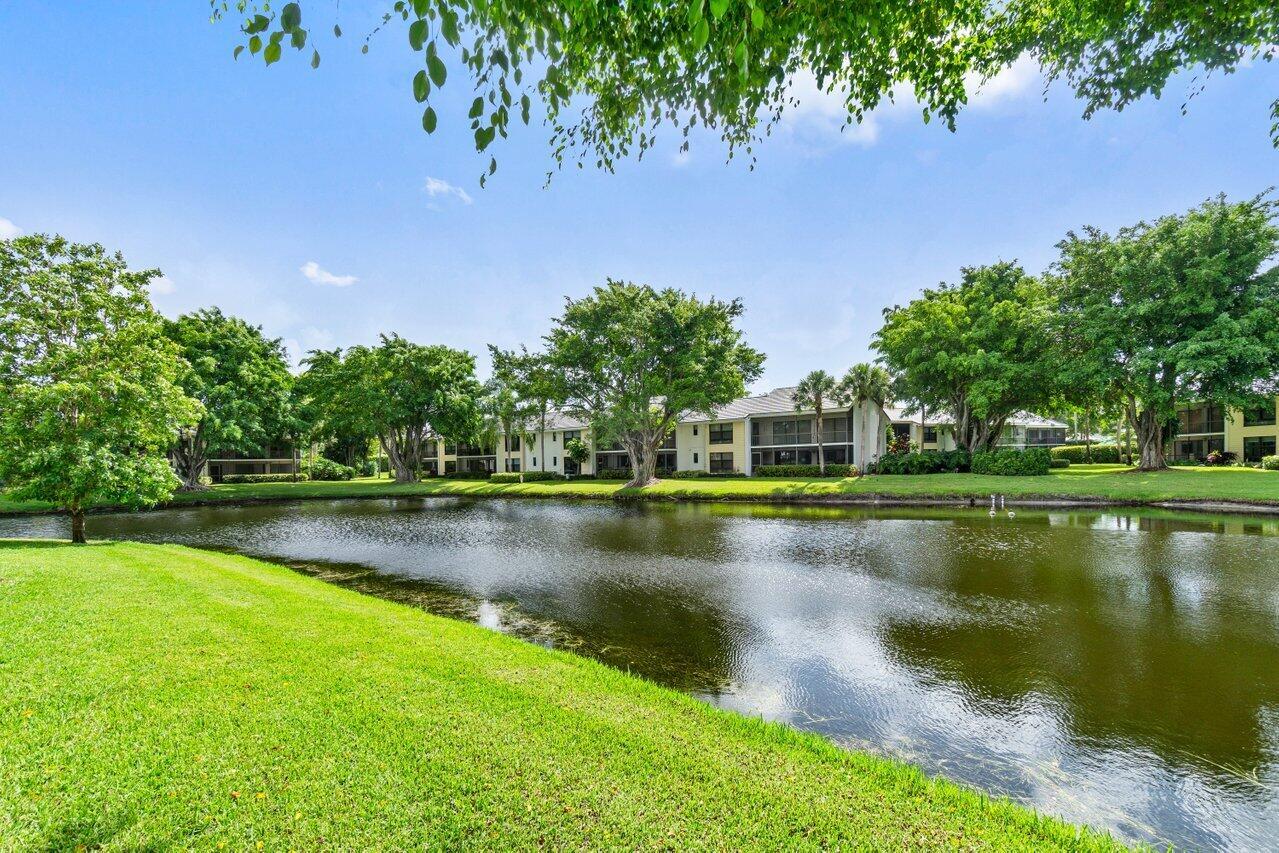 6812 Willow Wood Drive 802