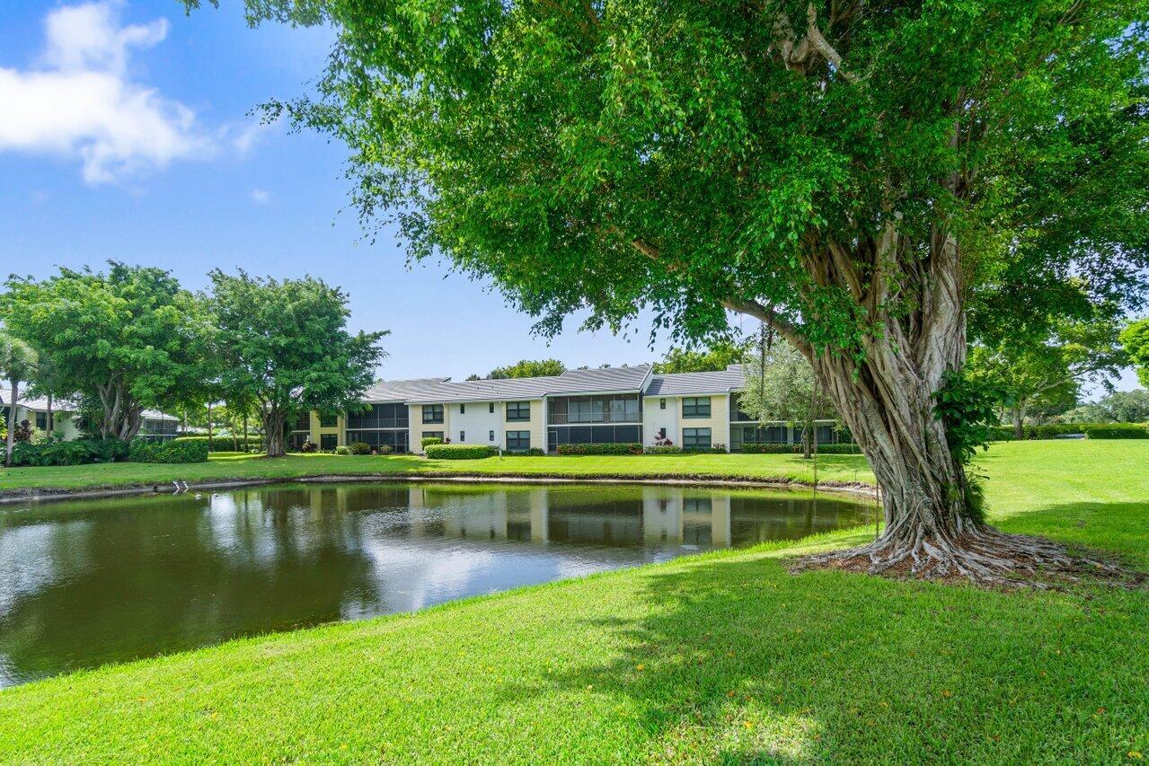 6812 Willow Wood Drive 802