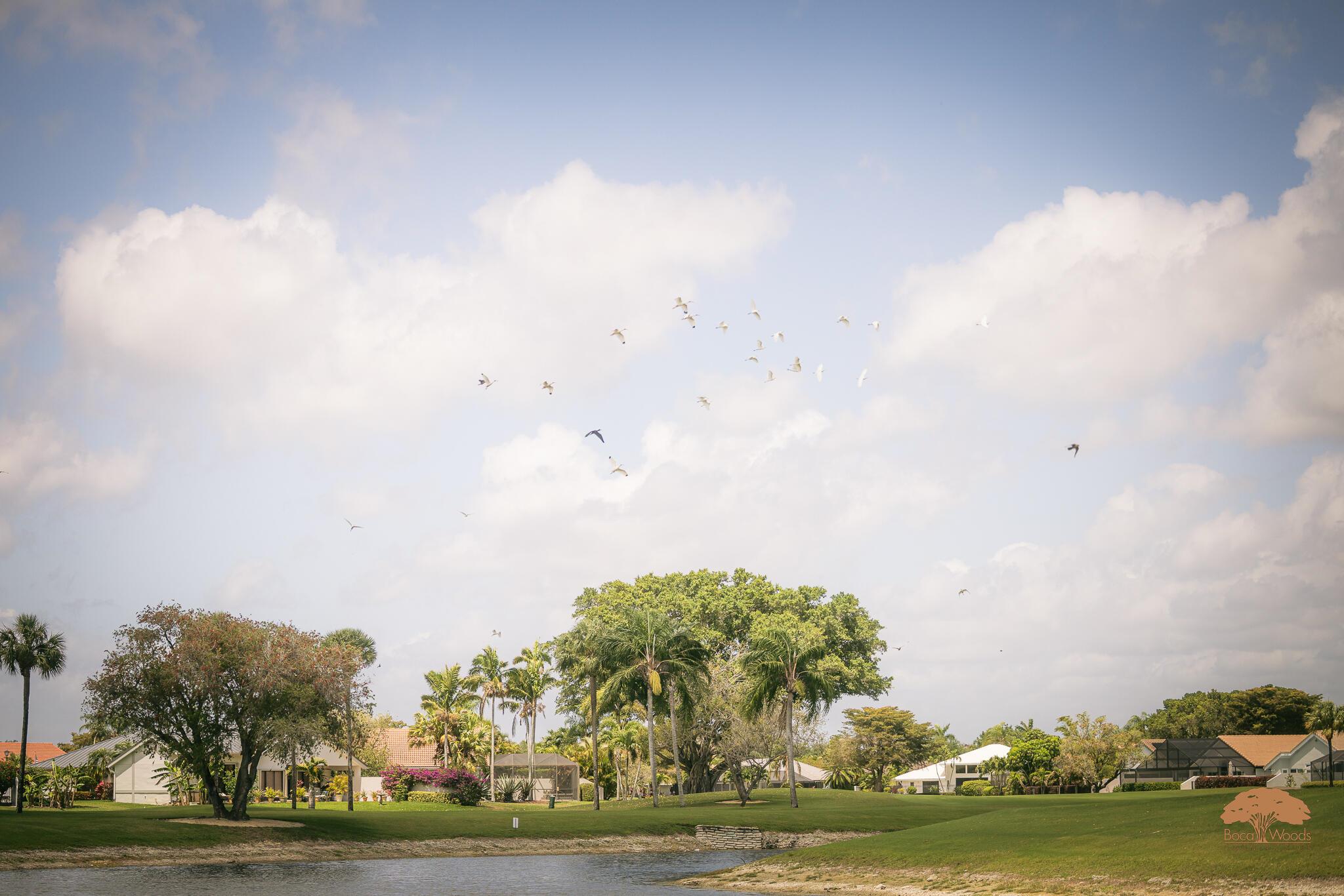 10791 River Glenn Drive