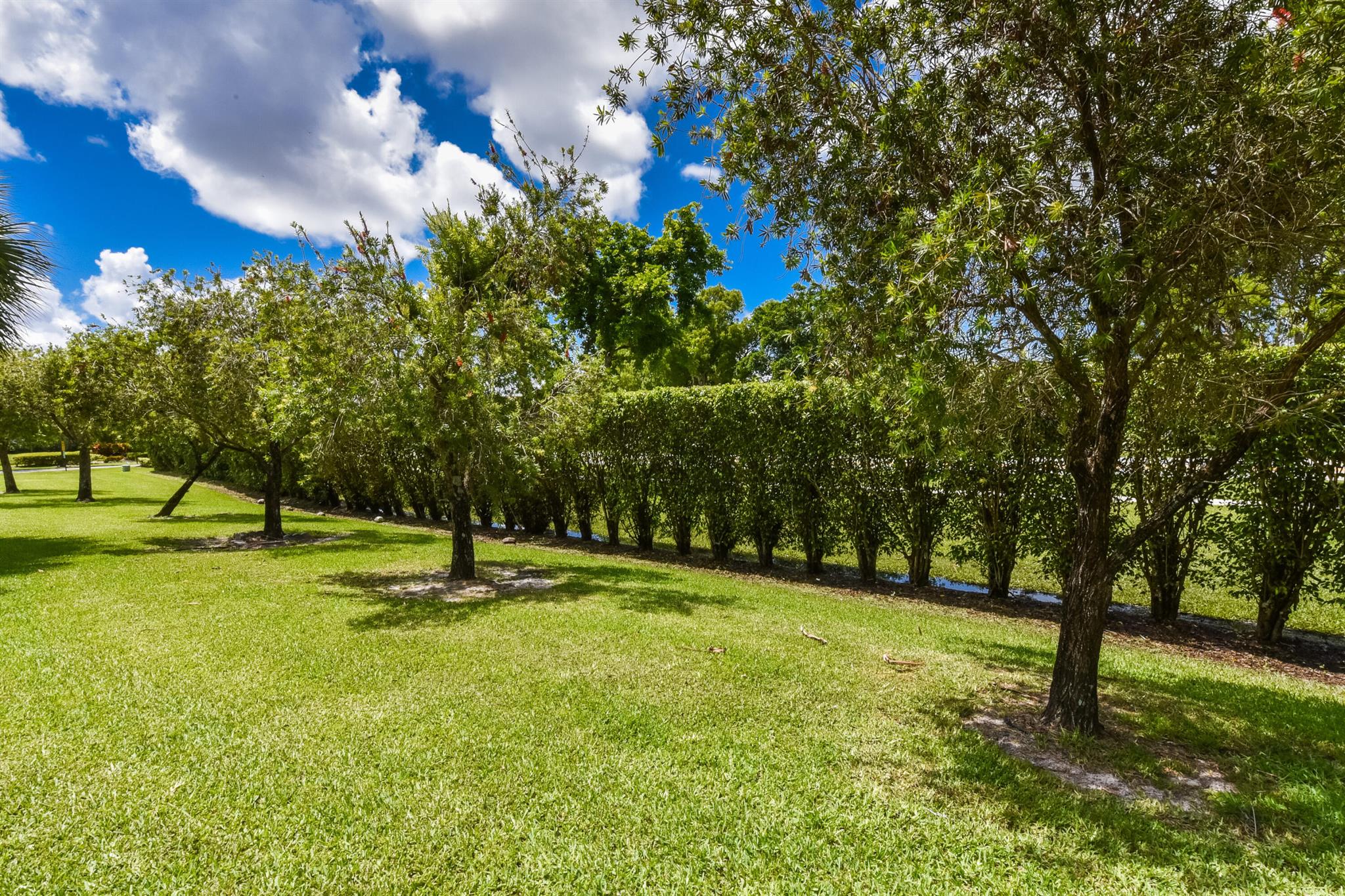 10298 Hidden Springs Court