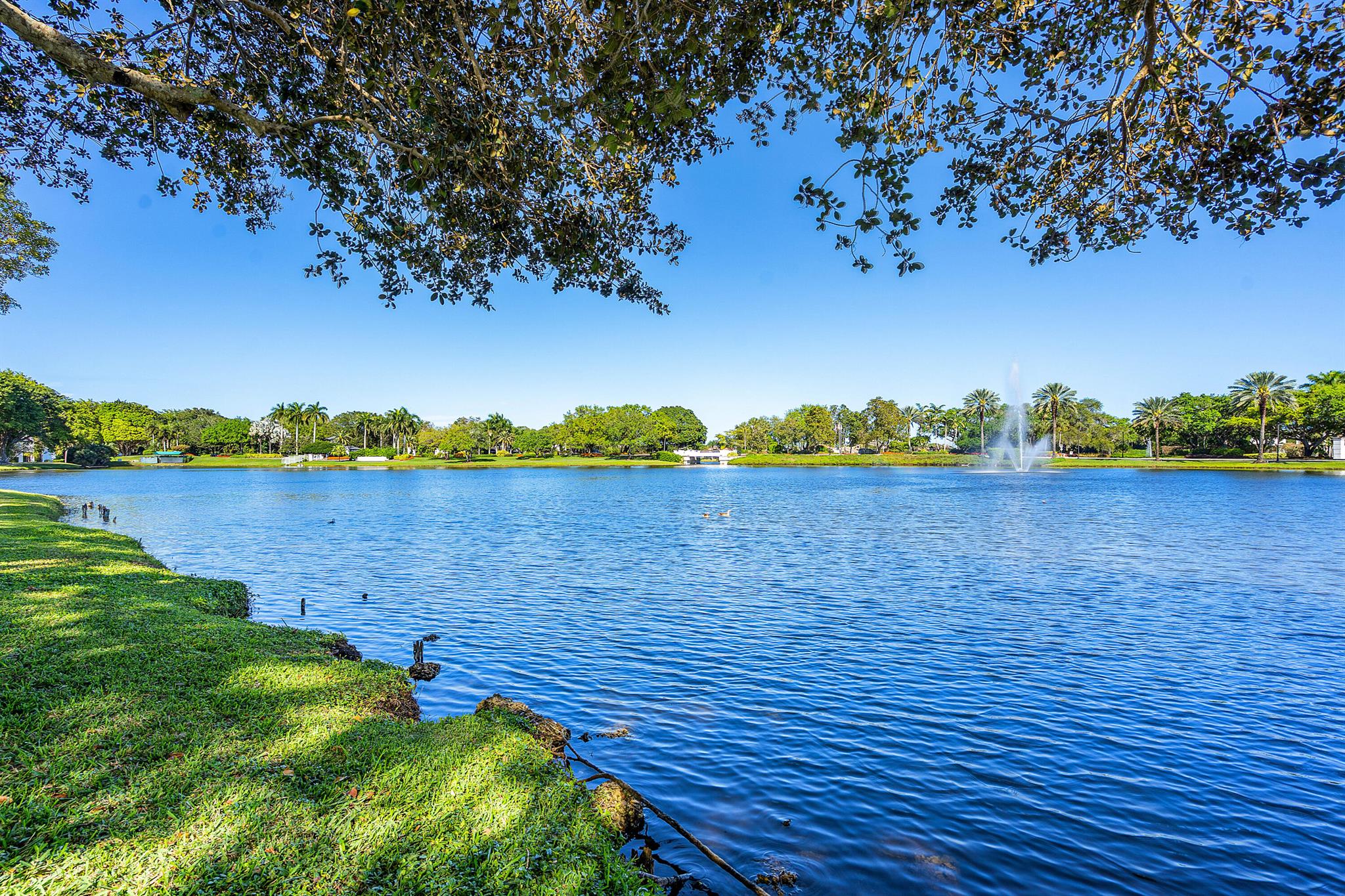 3505 Bridgewood Drive 3505