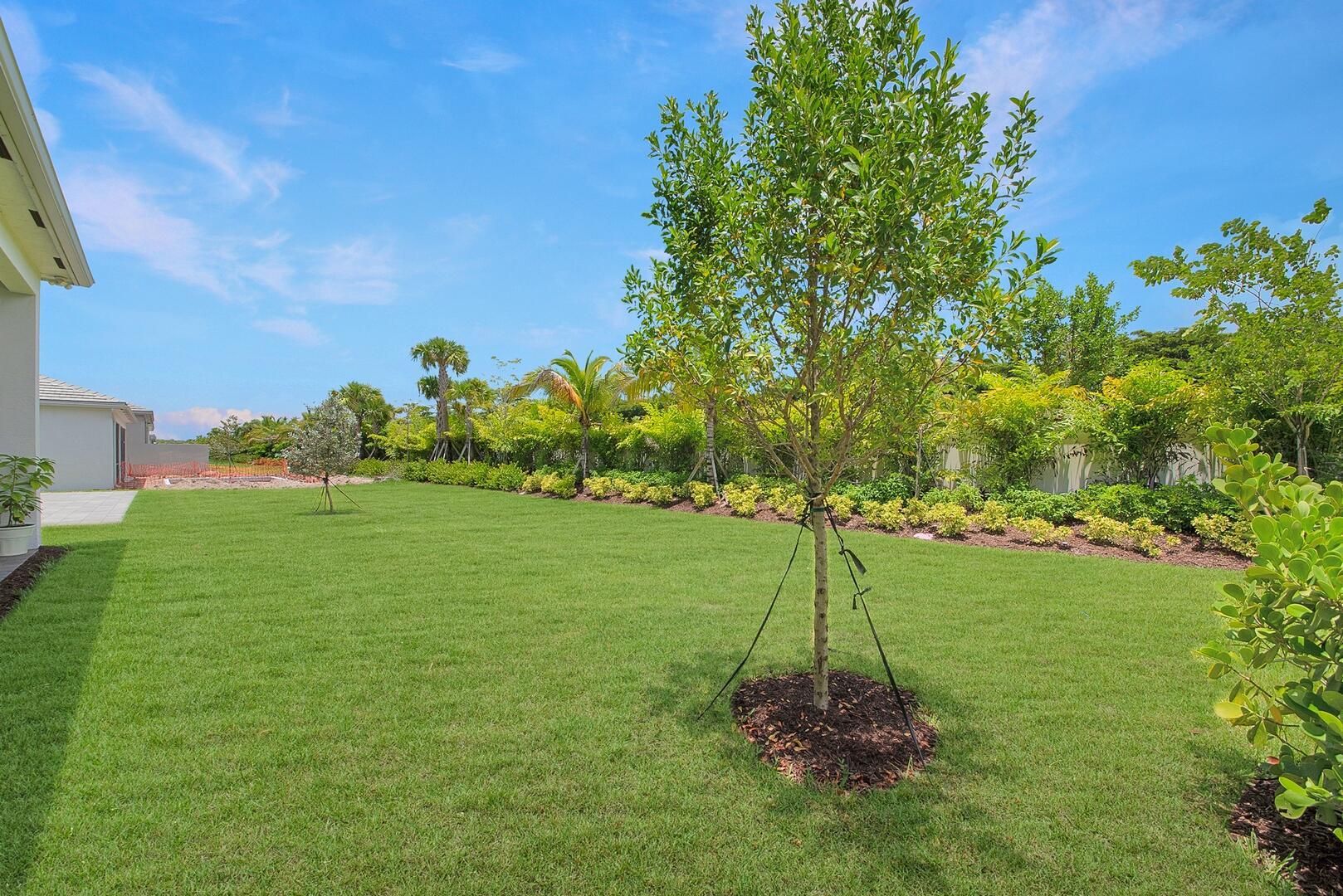 9747 Spruce Woods Drive